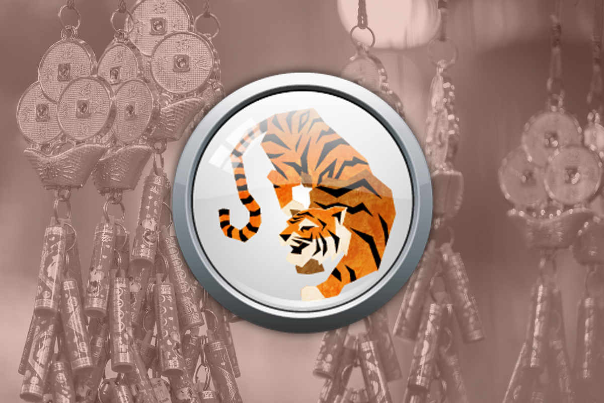 Tiger zodiac sign: What your animal has in store for you this Chinese New Year
