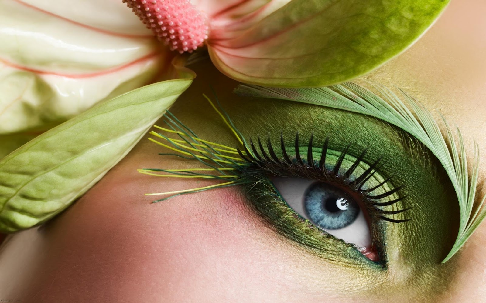 Eye Makeup Wallpaper 23219 1600x1000px