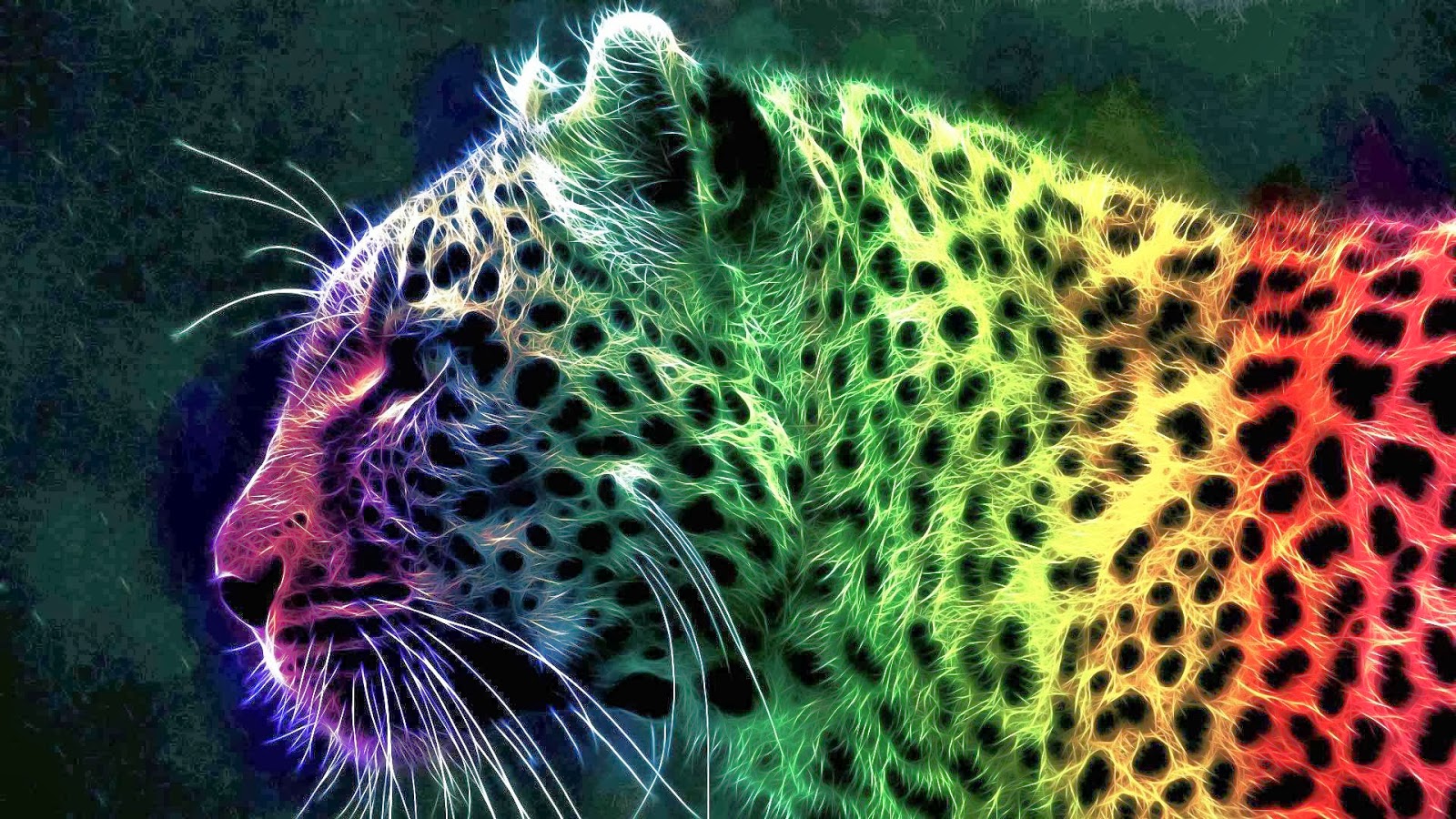 Rainbow Cheetah Wallpaper