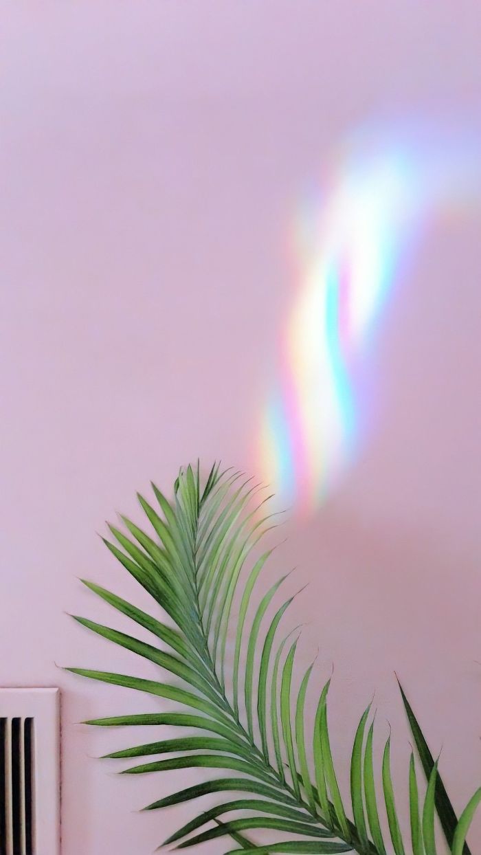for a Colorful and Cute Rainbow Wallpaper
