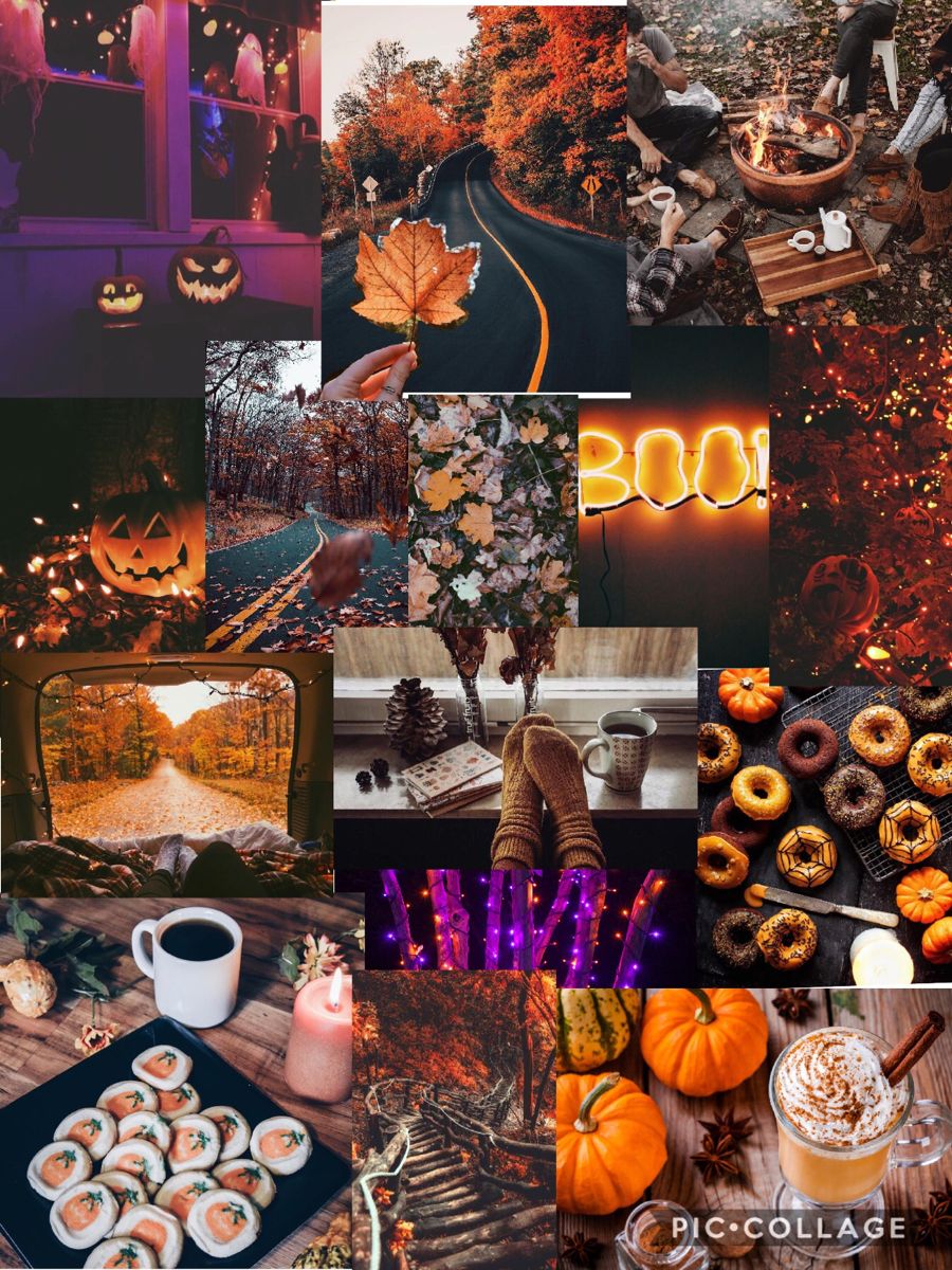 Fall vibes Collage  fall Halloween Cute laptop HD wallpaper  Peakpx