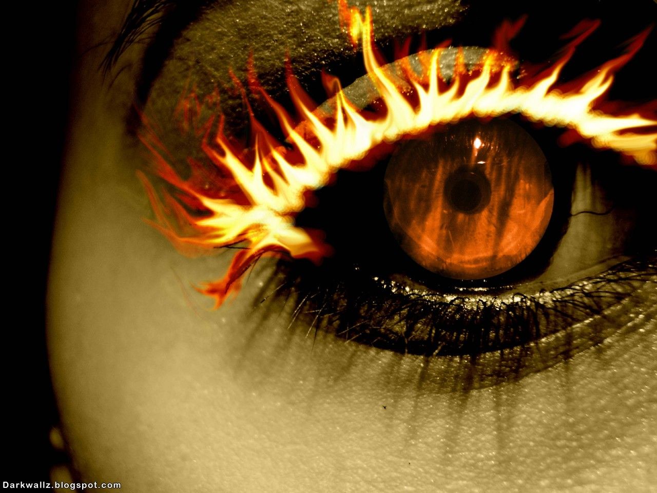 EYES are the window to the Soul