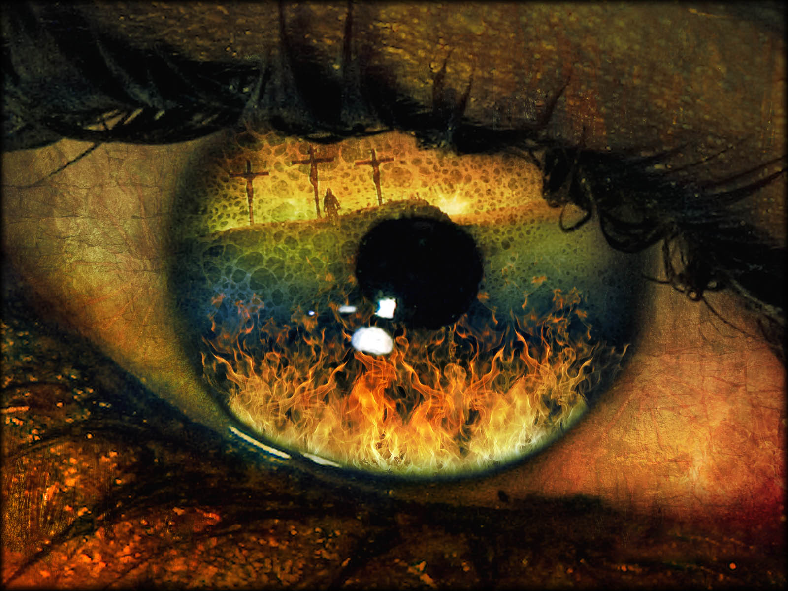 Nature Wallpaper: Horror Eye