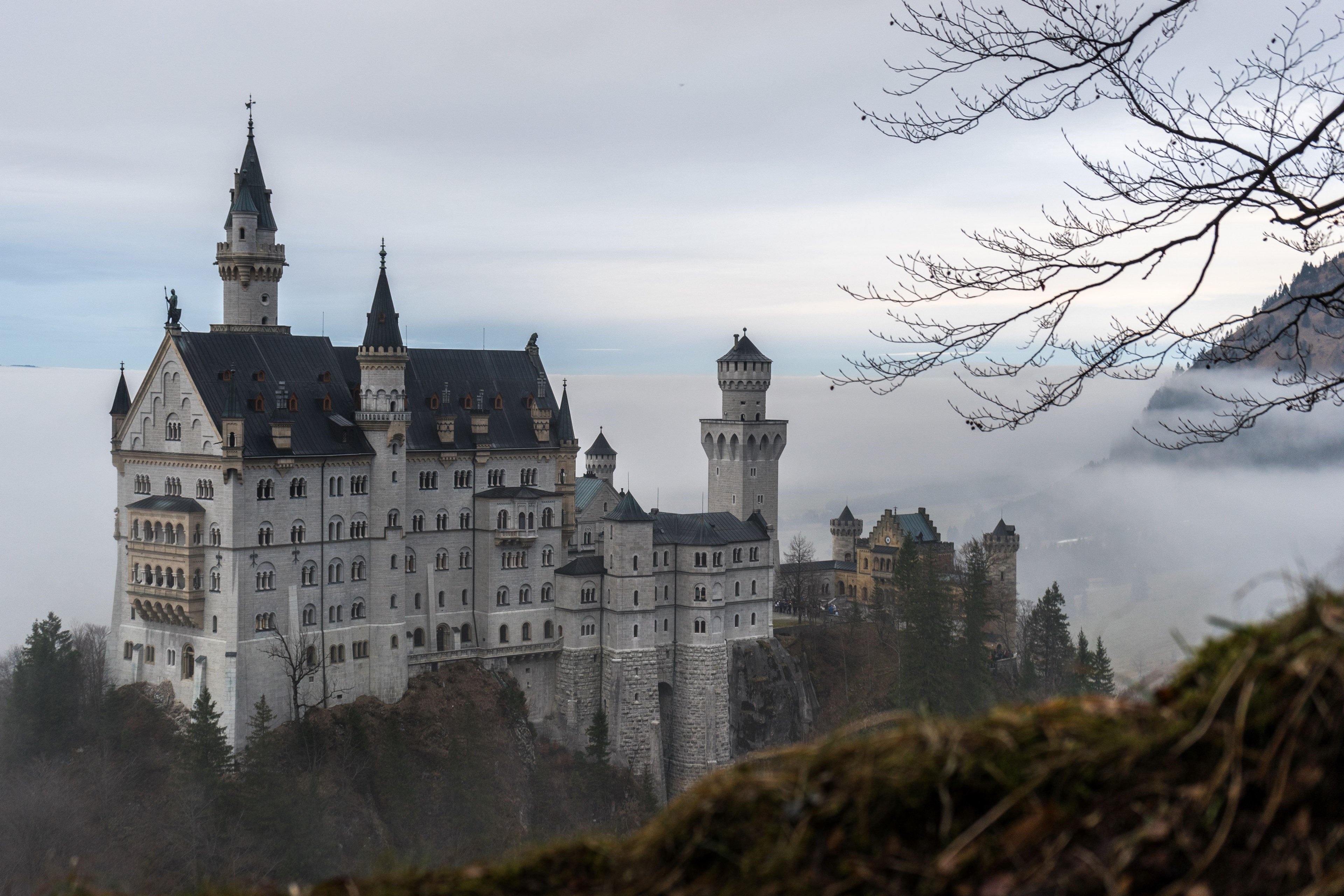 Wallpaper / orante neuschwanstein castle surrounded by fog and woods, palace neuschwanstein 4k wallpaper
