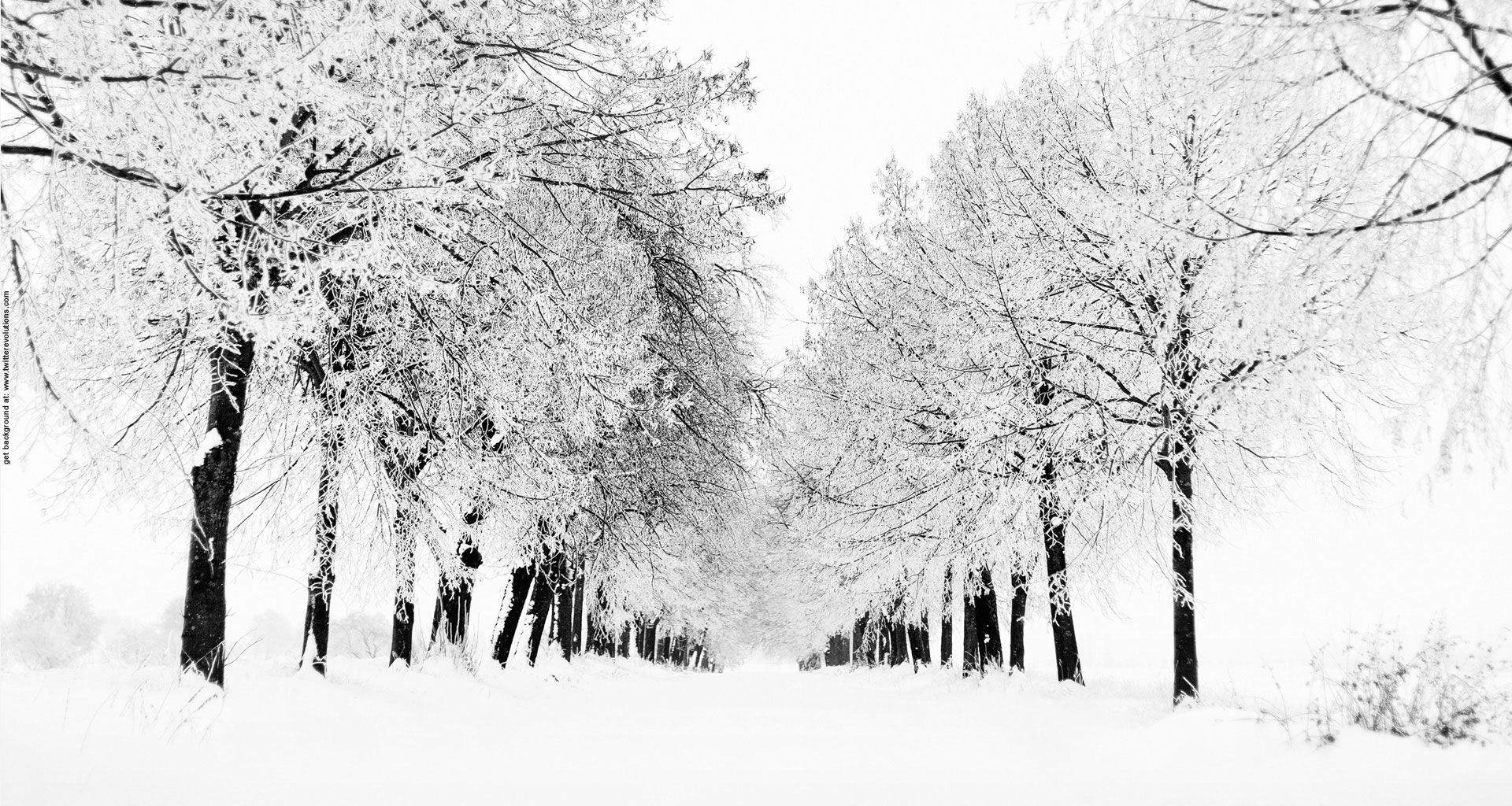 Winter wonderland #winter. Winter wallpaper desktop, Winter wallpaper, Winter snow photography