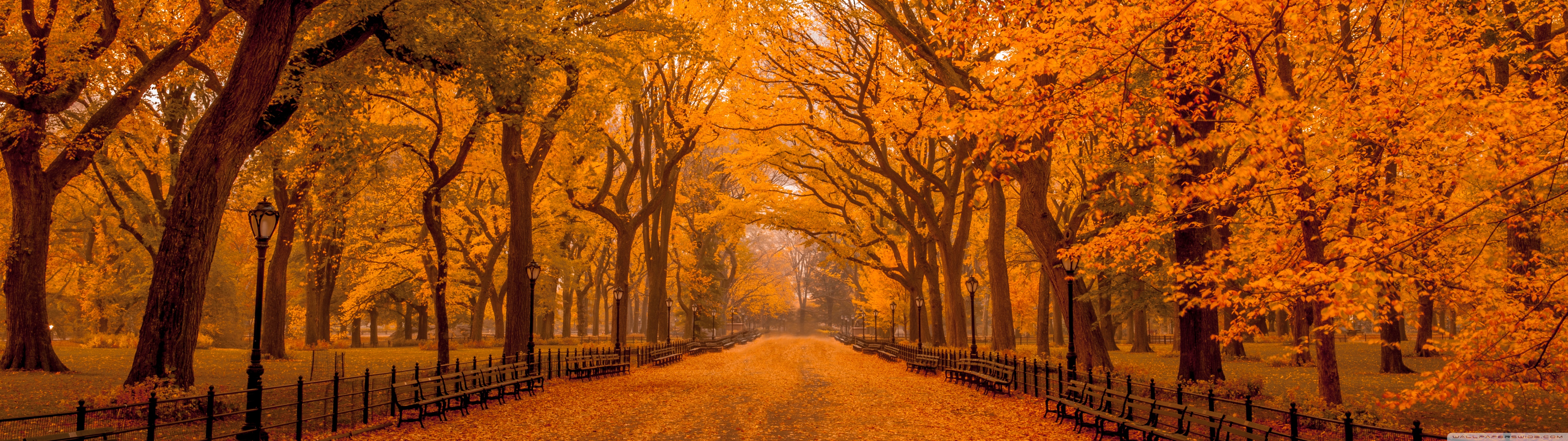 Mùa thu: Mùa thu là một trong những khoảnh khắc đẹp nhất trong năm với sắc đỏ, vàng, cam từ những tán cây rực rỡ. Hãy cùng thưởng thức hình ảnh về mùa thu với những tuyệt tác nghệ thuật được tạo nên từ thiên nhiên và con người, giúp bạn tận hưởng những ngày tháng này một cách tuyệt vời nhất.