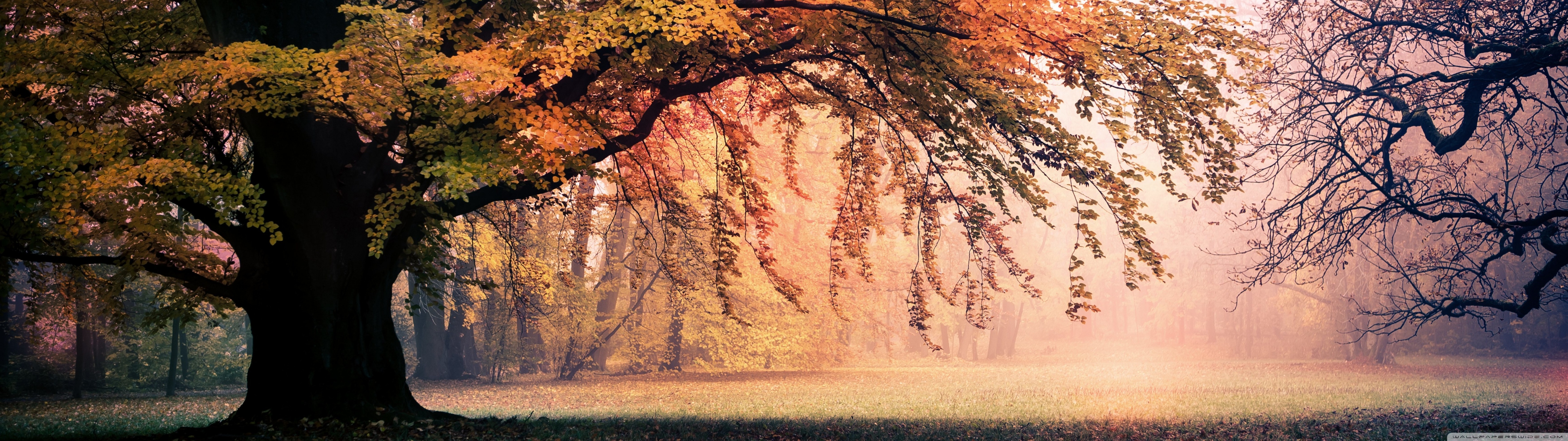 5120x1440 Autumn Wallpapers - Wallpaper Cave