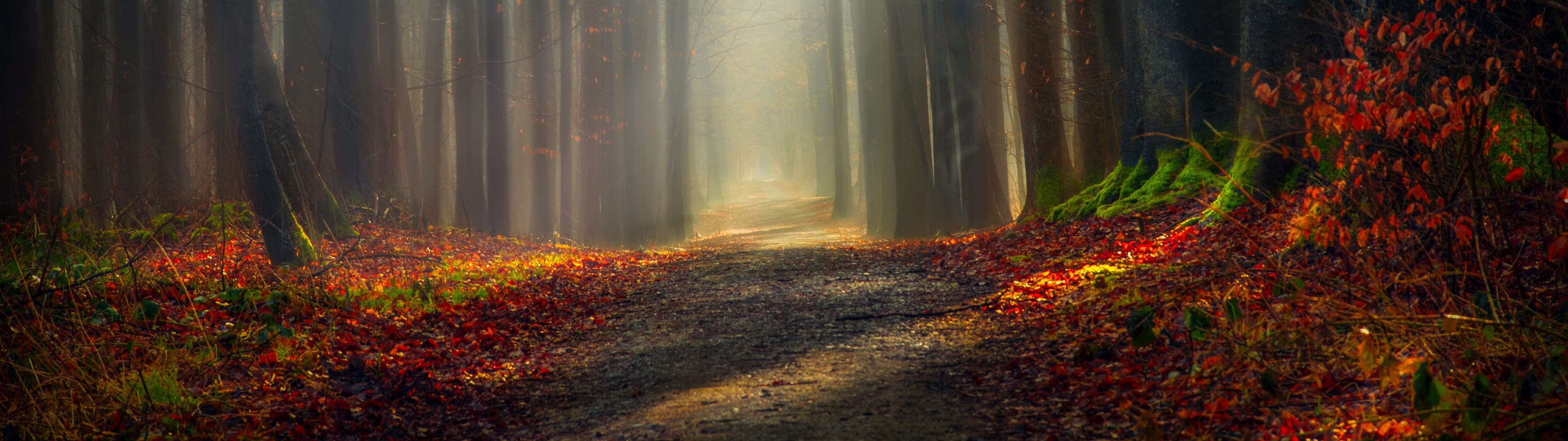 wallpaper HD Free 5120x1440 Background