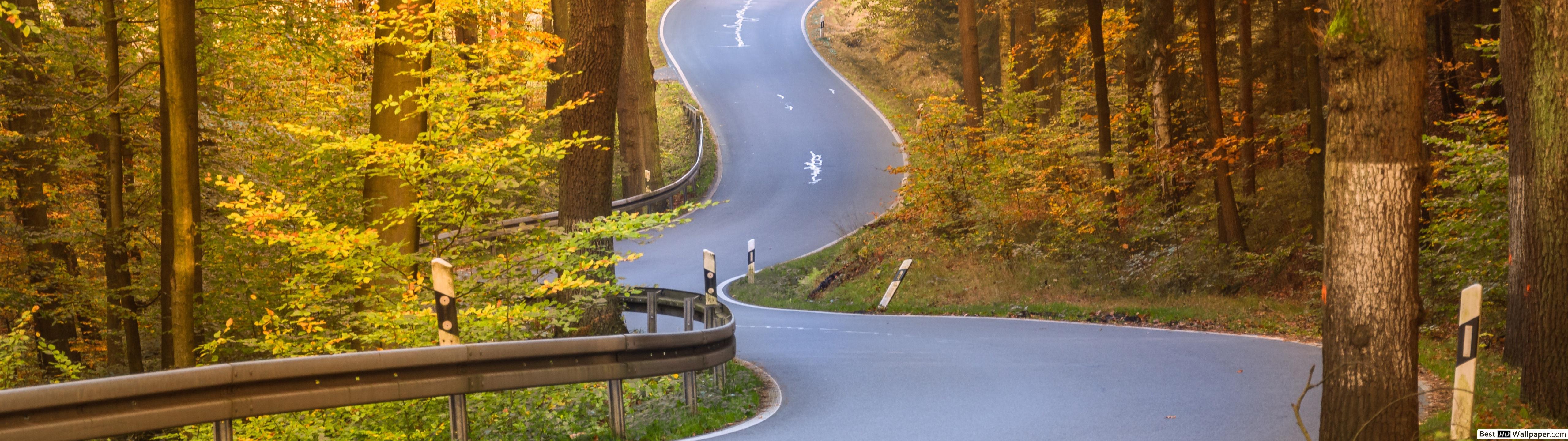 Curvy Road in autumn HD wallpaper download