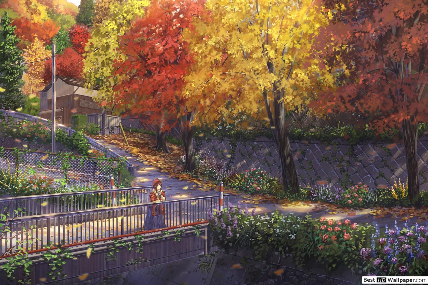 Autumn In Japan HD wallpaper download