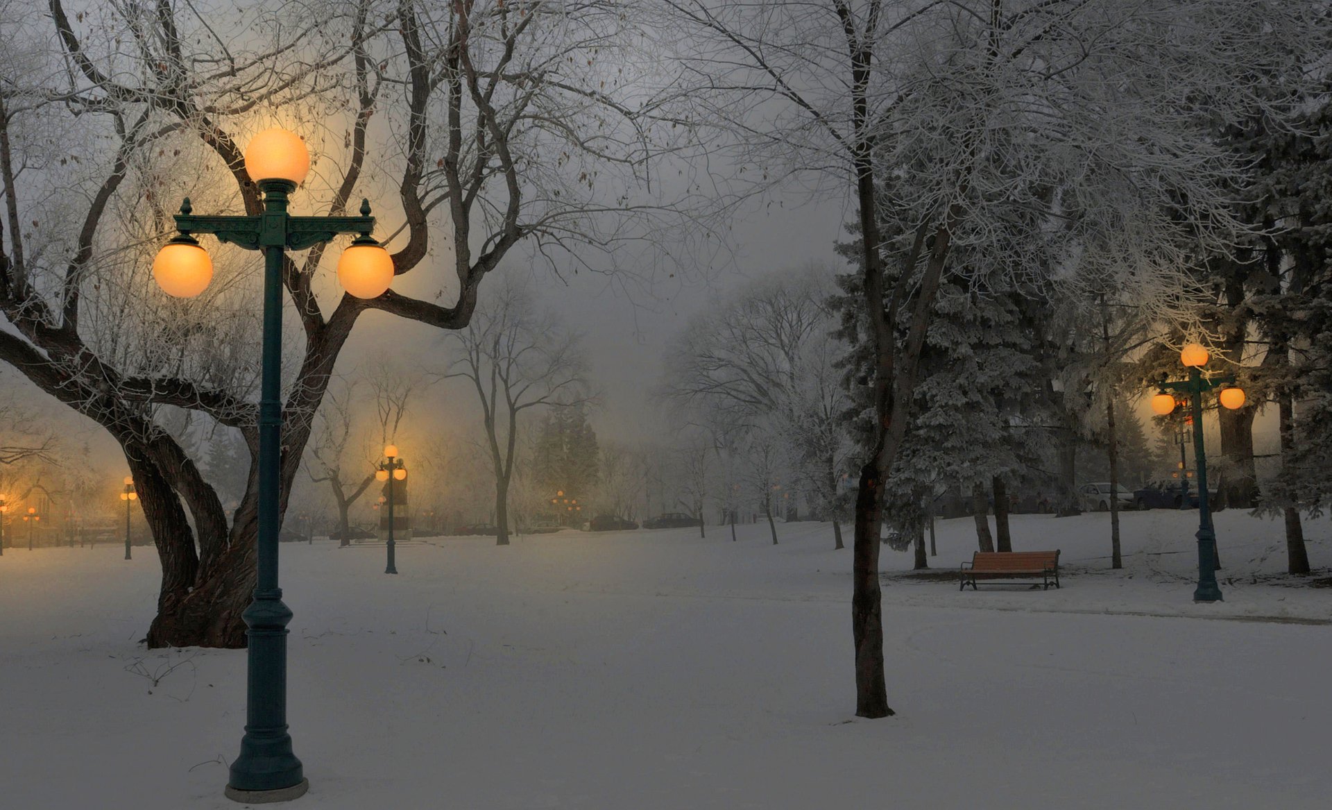 Winter Park at Dusk HD Wallpaper