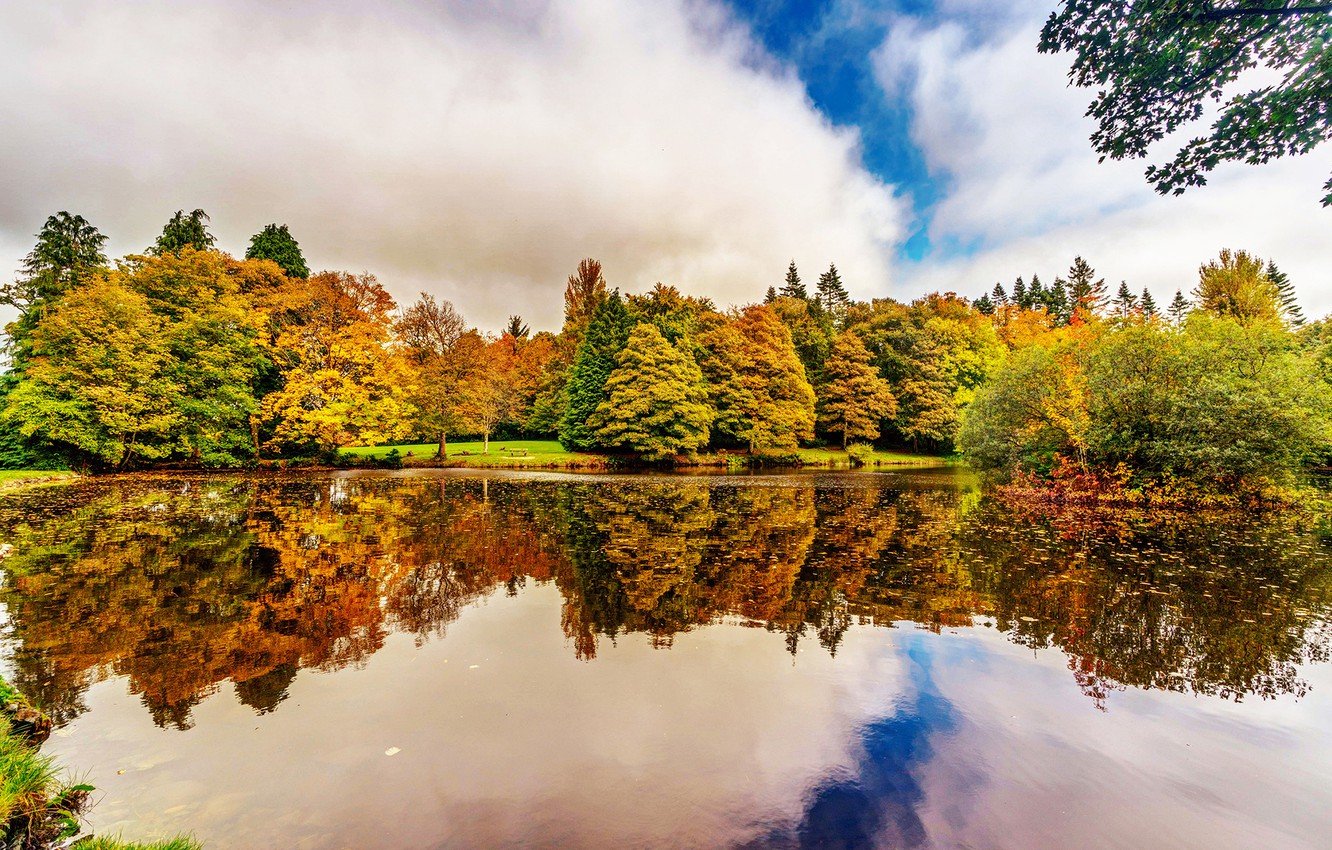 Wallpaper autumn, trees, reflection, river, garden, Ireland, Botanic Gardens Dublin image for desktop, section пейзажи