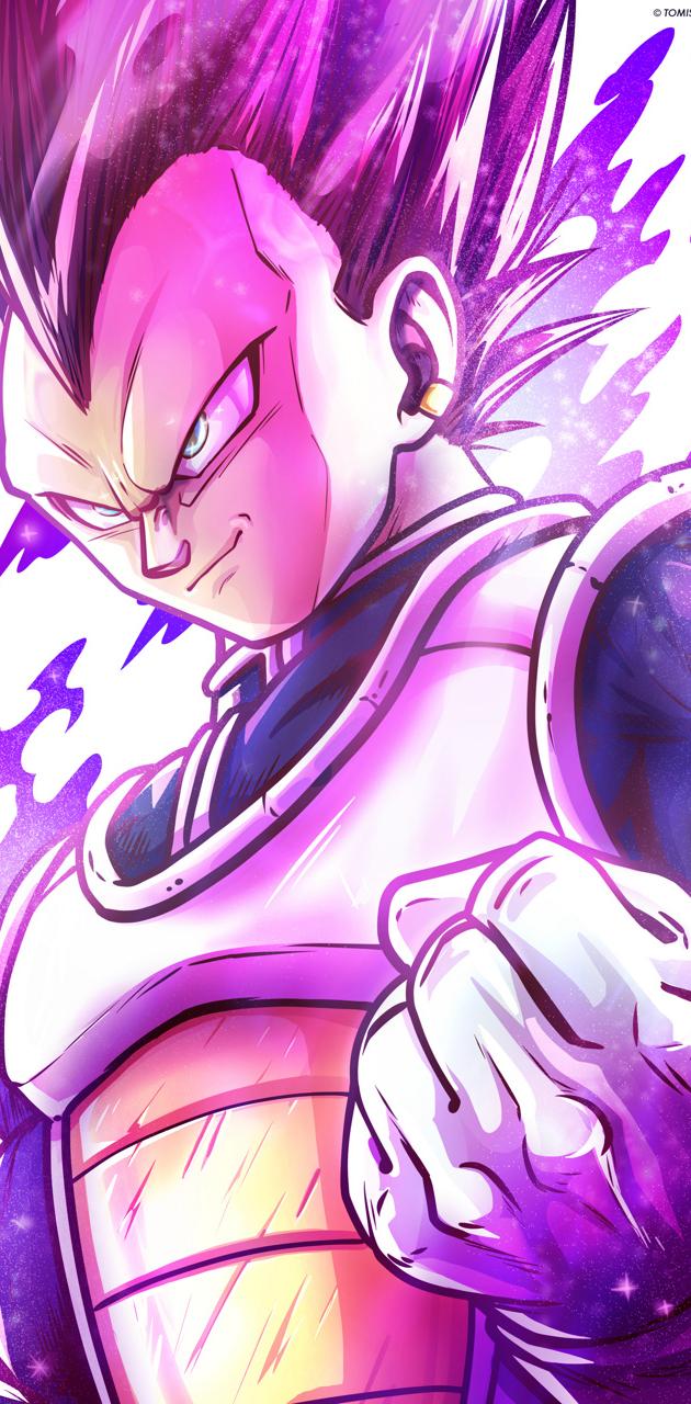 Vegeta Hakaishin wallpaper