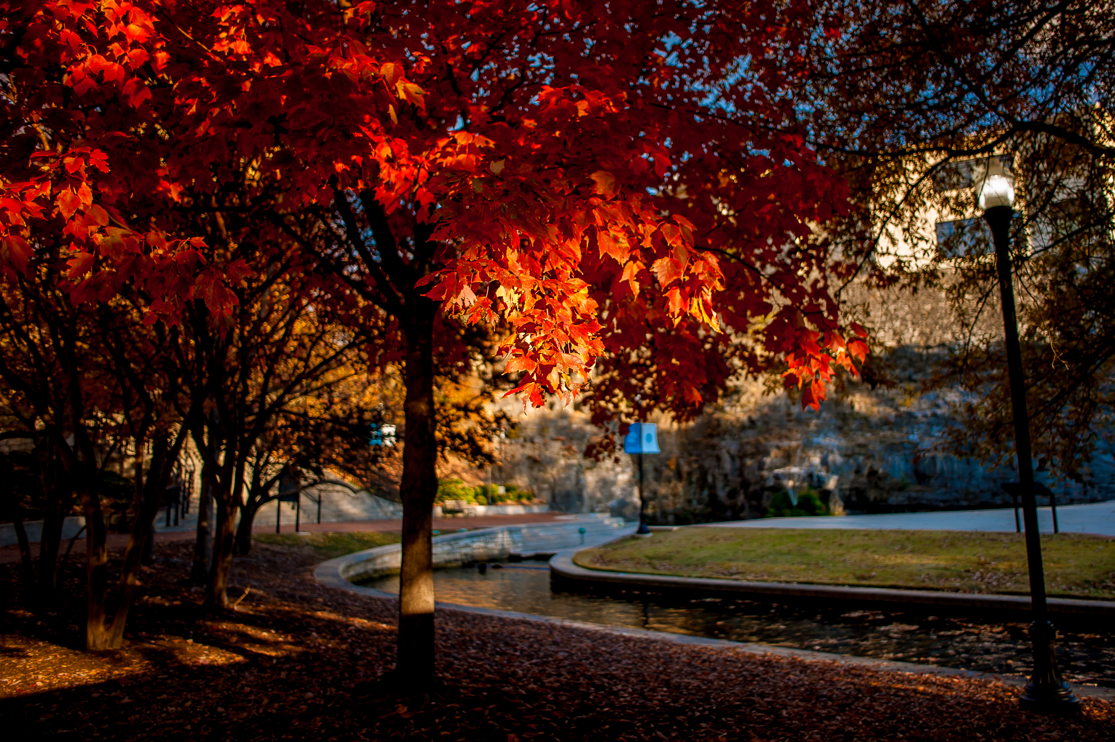 Best Places to See Fall Colors and Snap Photo in Huntsville and Madison County