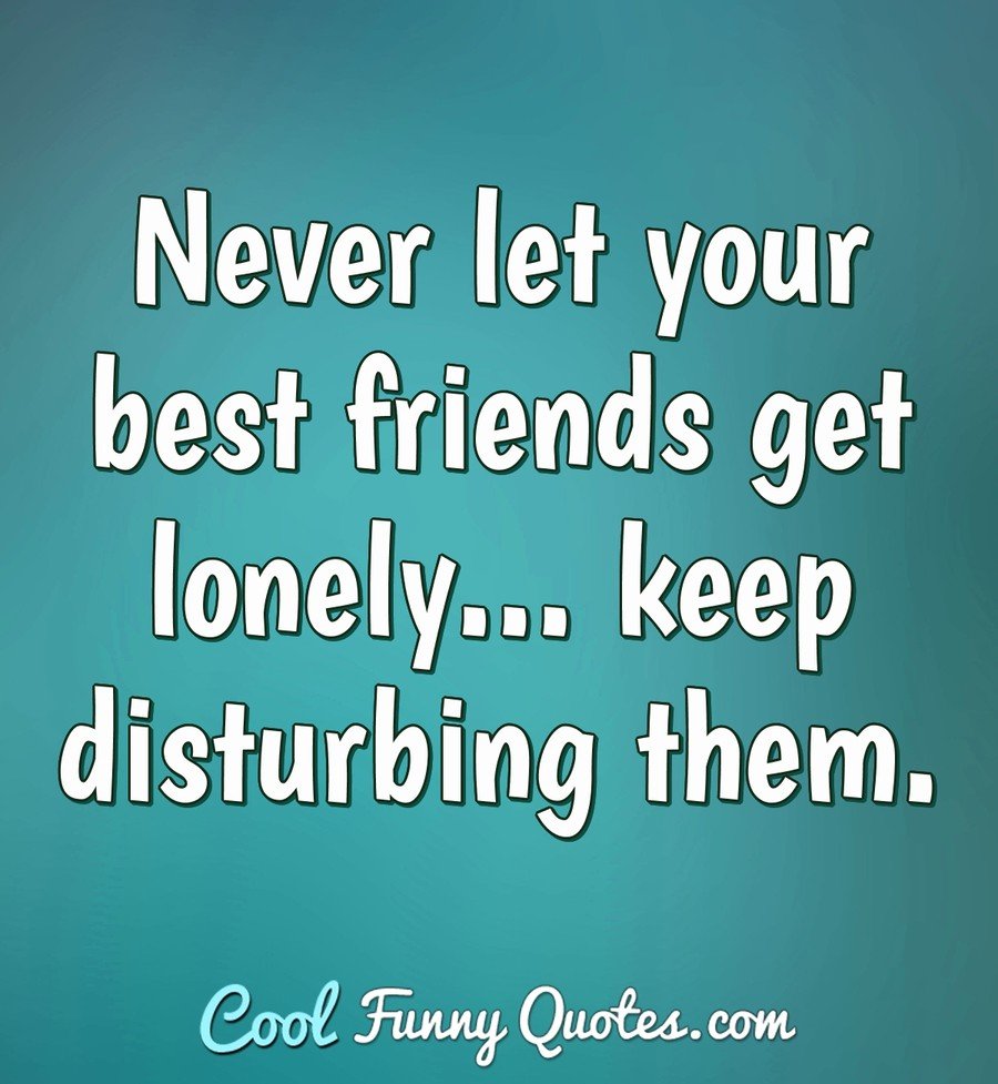 Never let your best friends get lonely. keep disturbing them