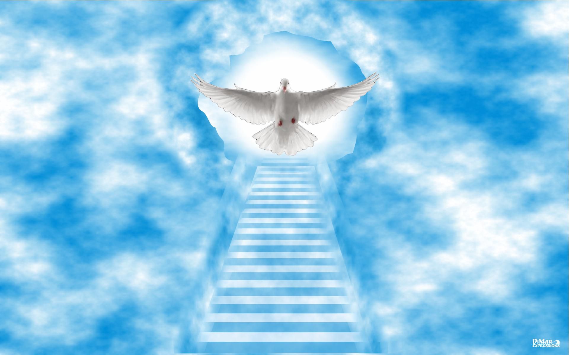 stairway to heaven wallpaper. Heaven wallpaper, Stairway to heaven, Way to heaven