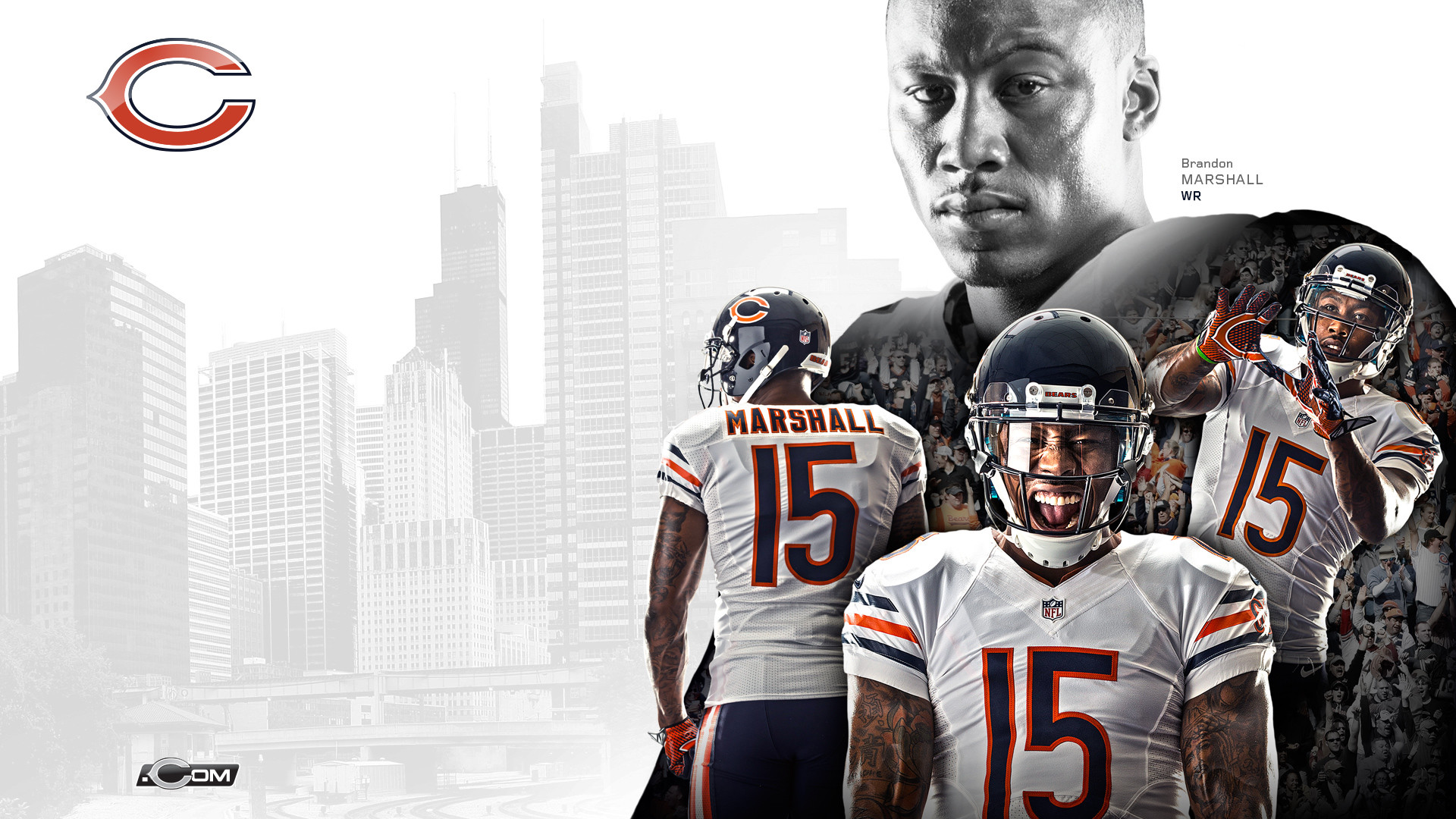 Chicago Bears HD Wallpaper New Tab Theme Fan Tab