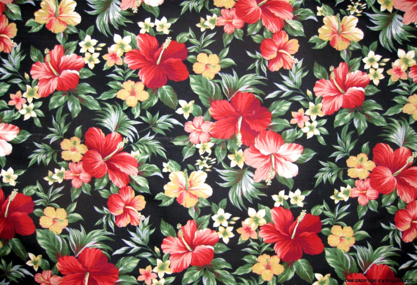 Hawaiian Pattern Themed Papes - Wg