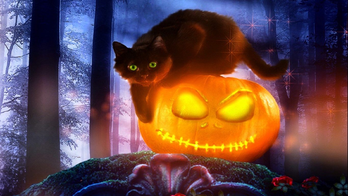 Cute Black Cat Halloween Wallpaper Free Cute Black Cat Halloween Background