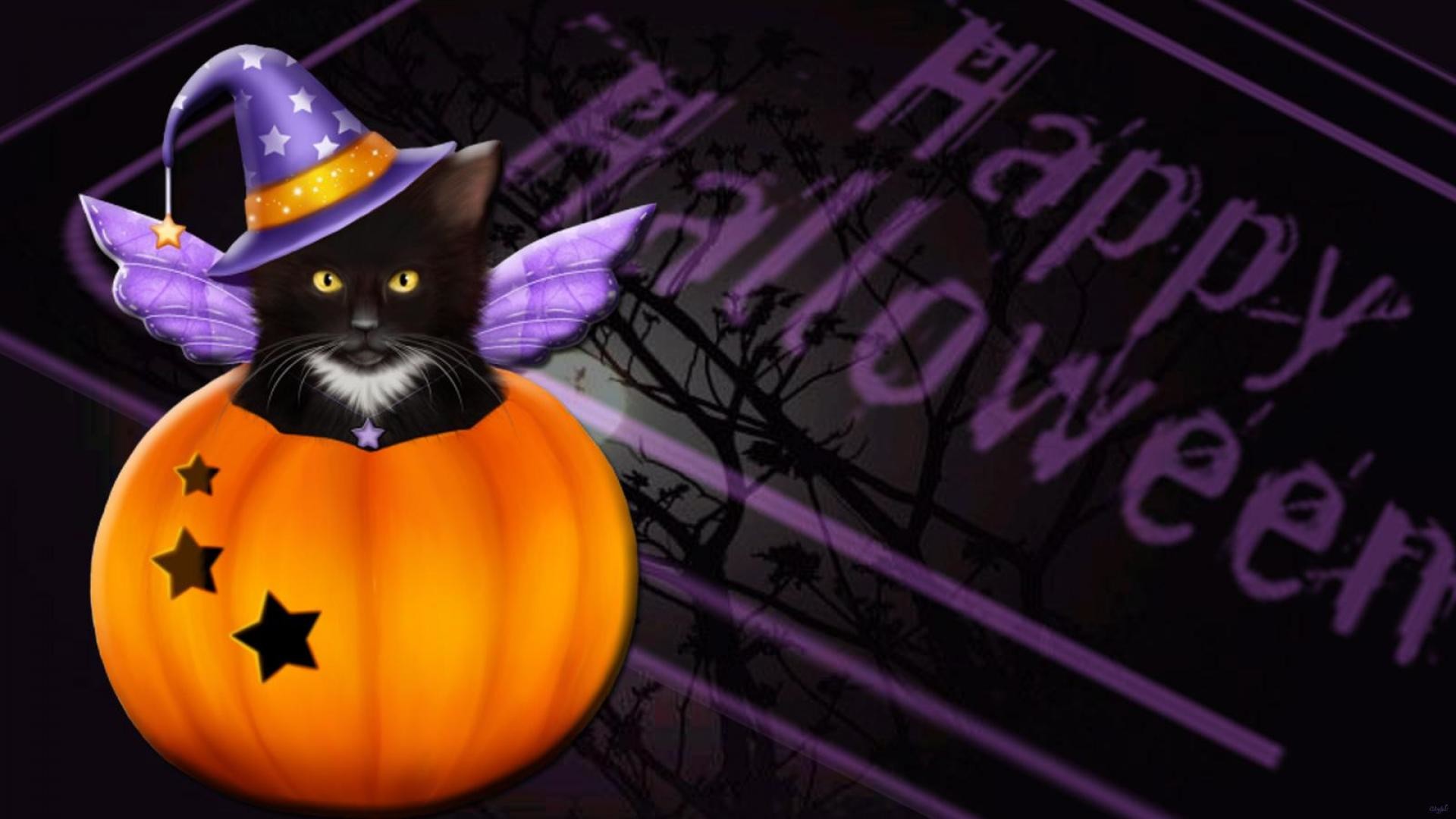 Halloween Cat Wallpaper Cat HD Wallpaper