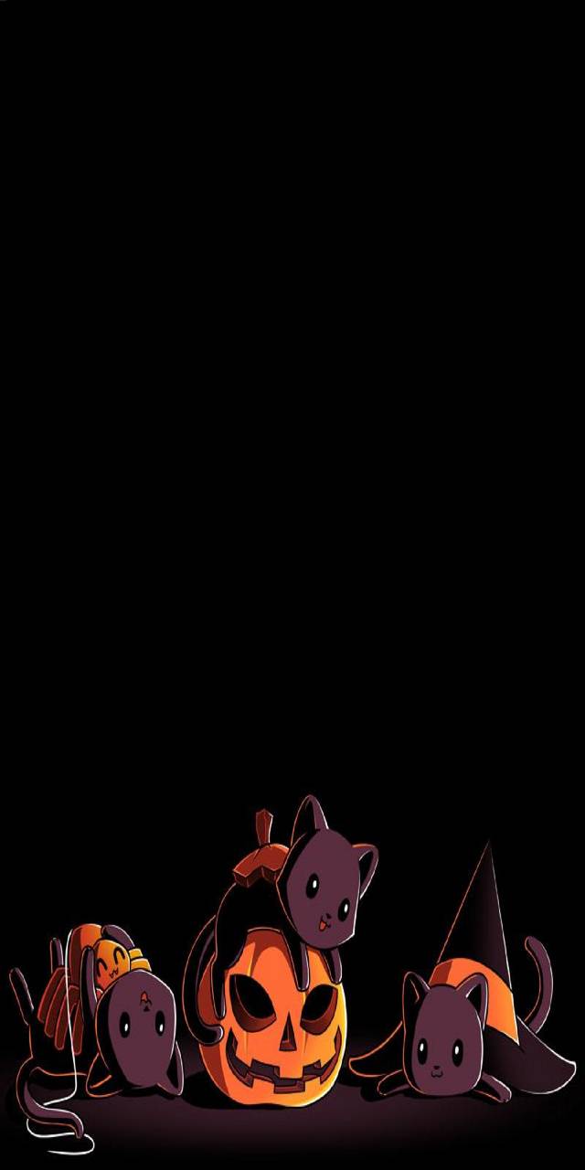 Download Halloween Cats HD Wallpaper and Background