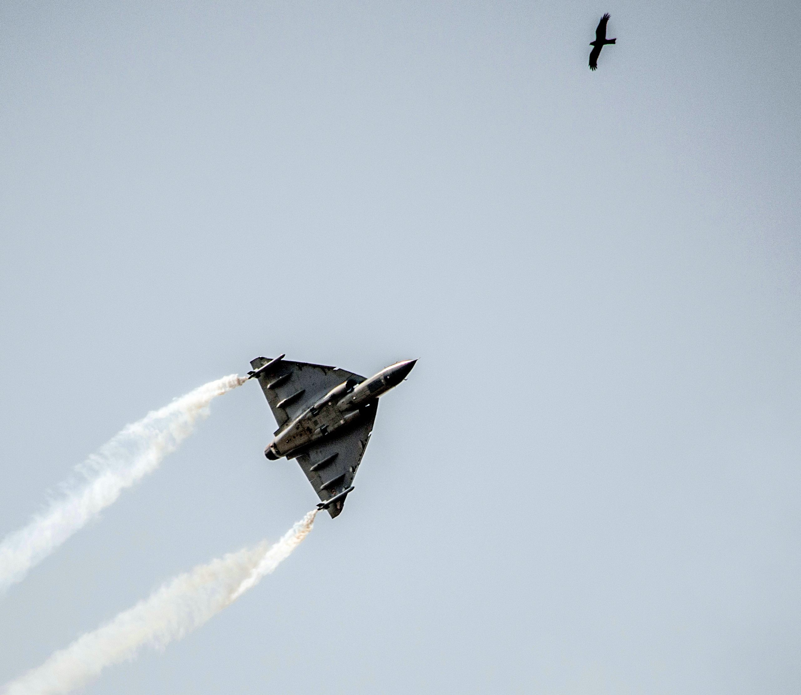 Hal Tejas HD Wallpaper Flying 2560p