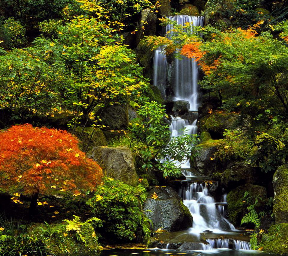Free download Waterfall Hot Girls Wallpaper [960x854] for your Desktop, Mobile & Tablet. Explore Free Wallpaper of Waterfalls. Waterfall Wallpaper
