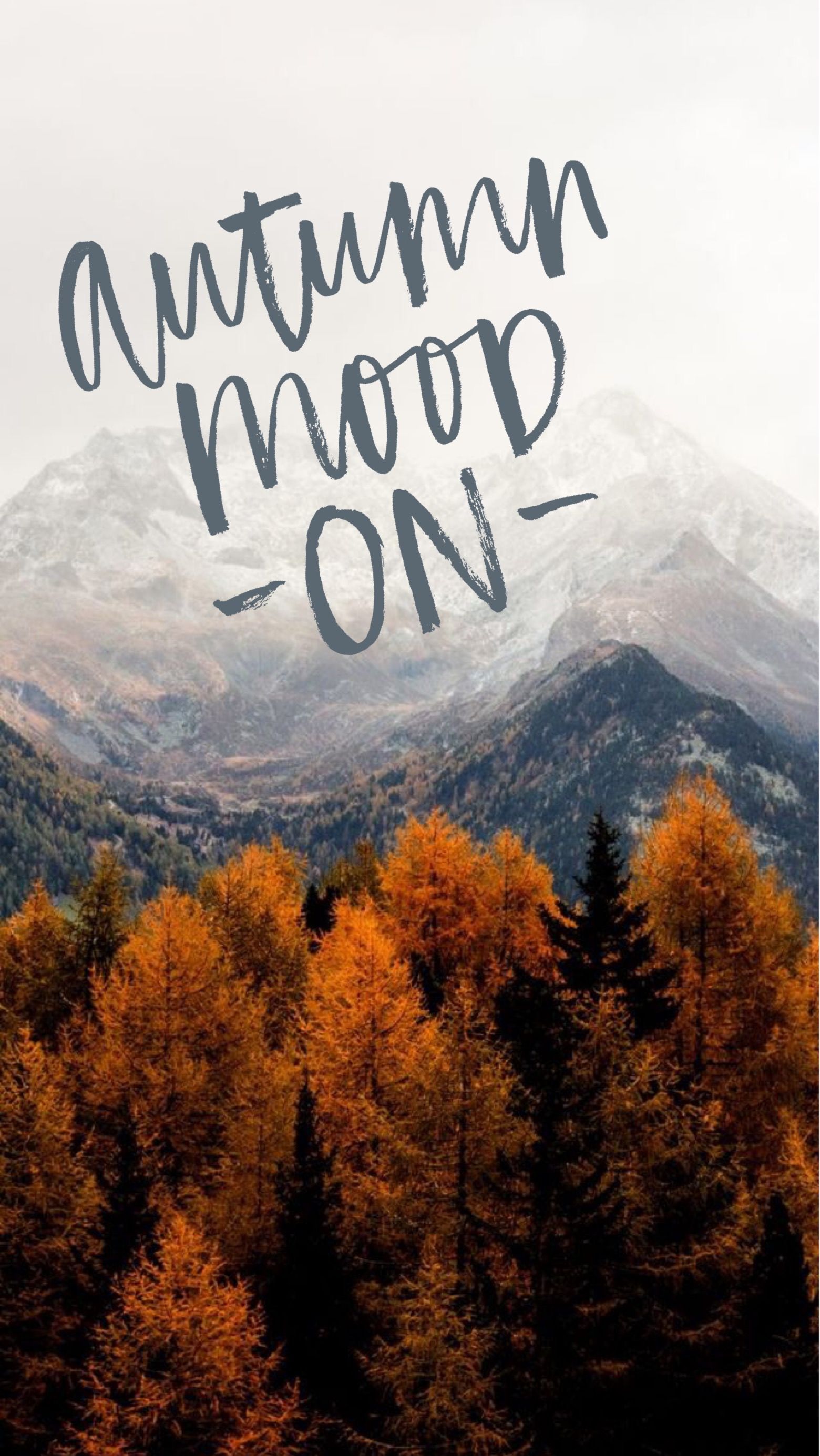 Hello Autumn Aesthetic Wallpaper Free Hello Autumn Aesthetic Background