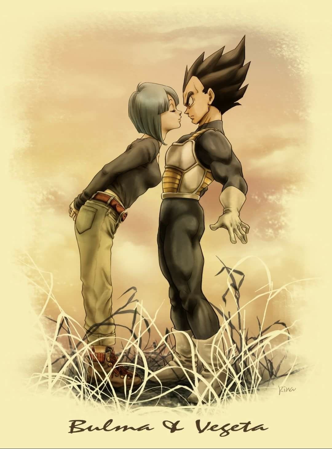 Bulma and Vegeta Wallpaper