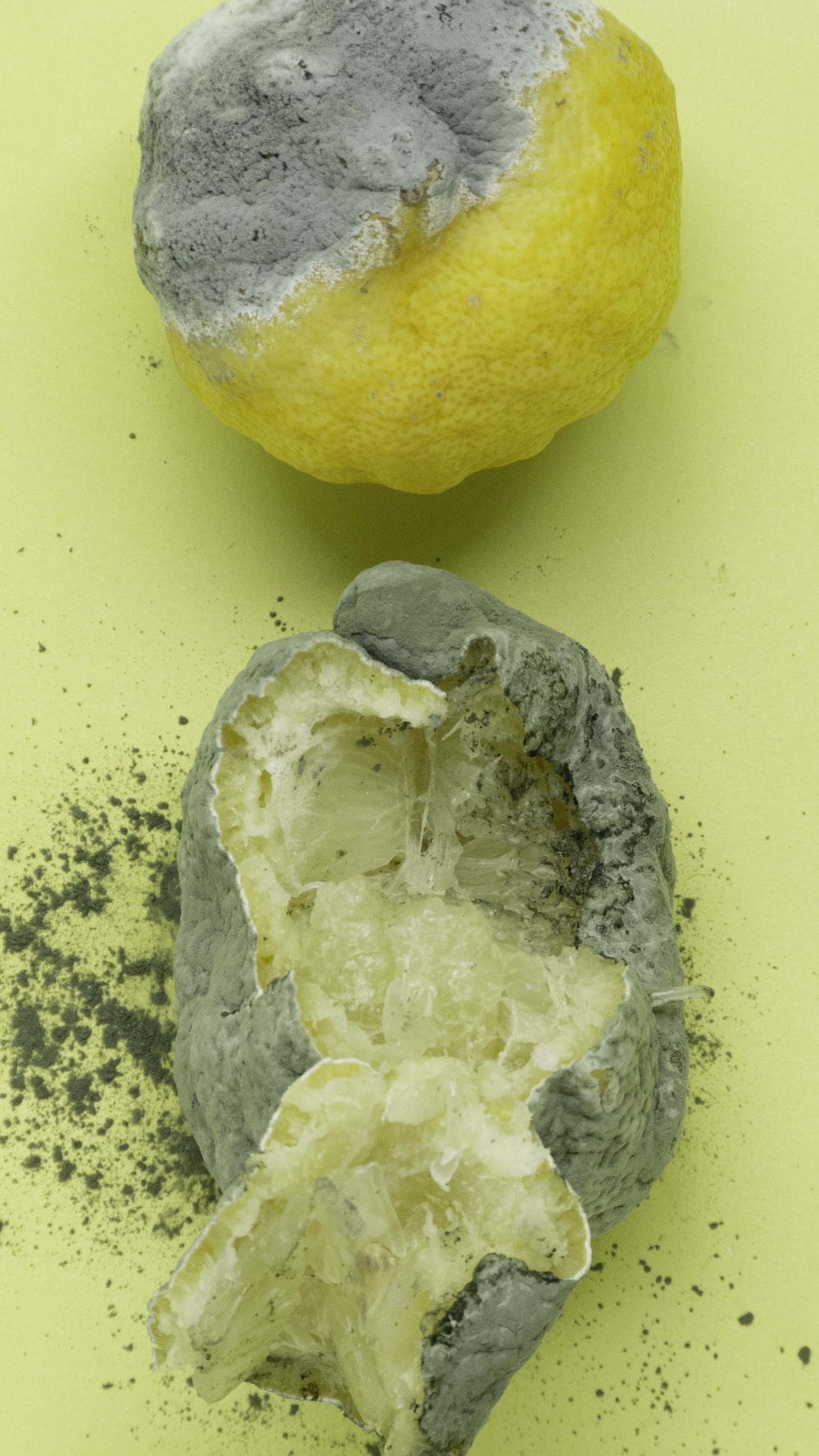 Rotten Wallpapers - Wallpaper Cave