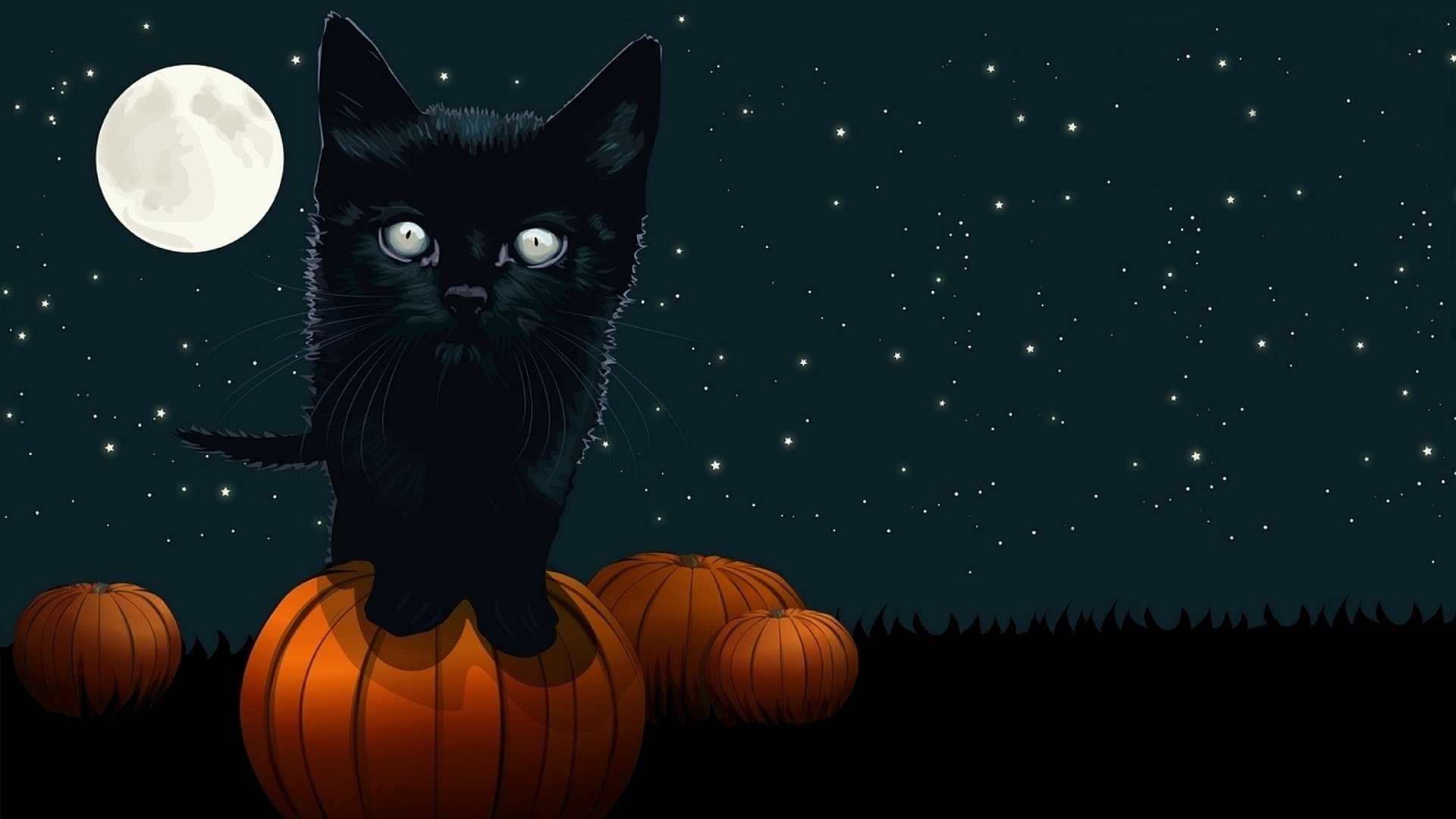 Spooky Cat and Pumpkin under Full Moon
