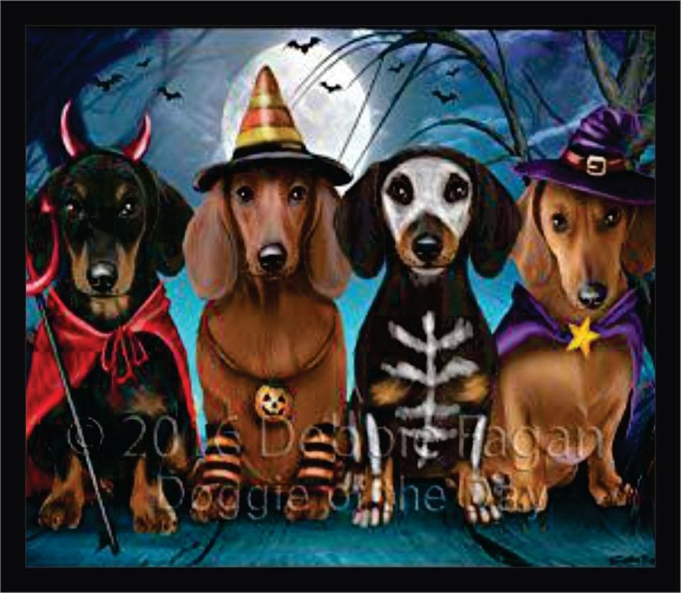 Dachshunds. Dachshund birthday, Dachshund love, Dachshund dog