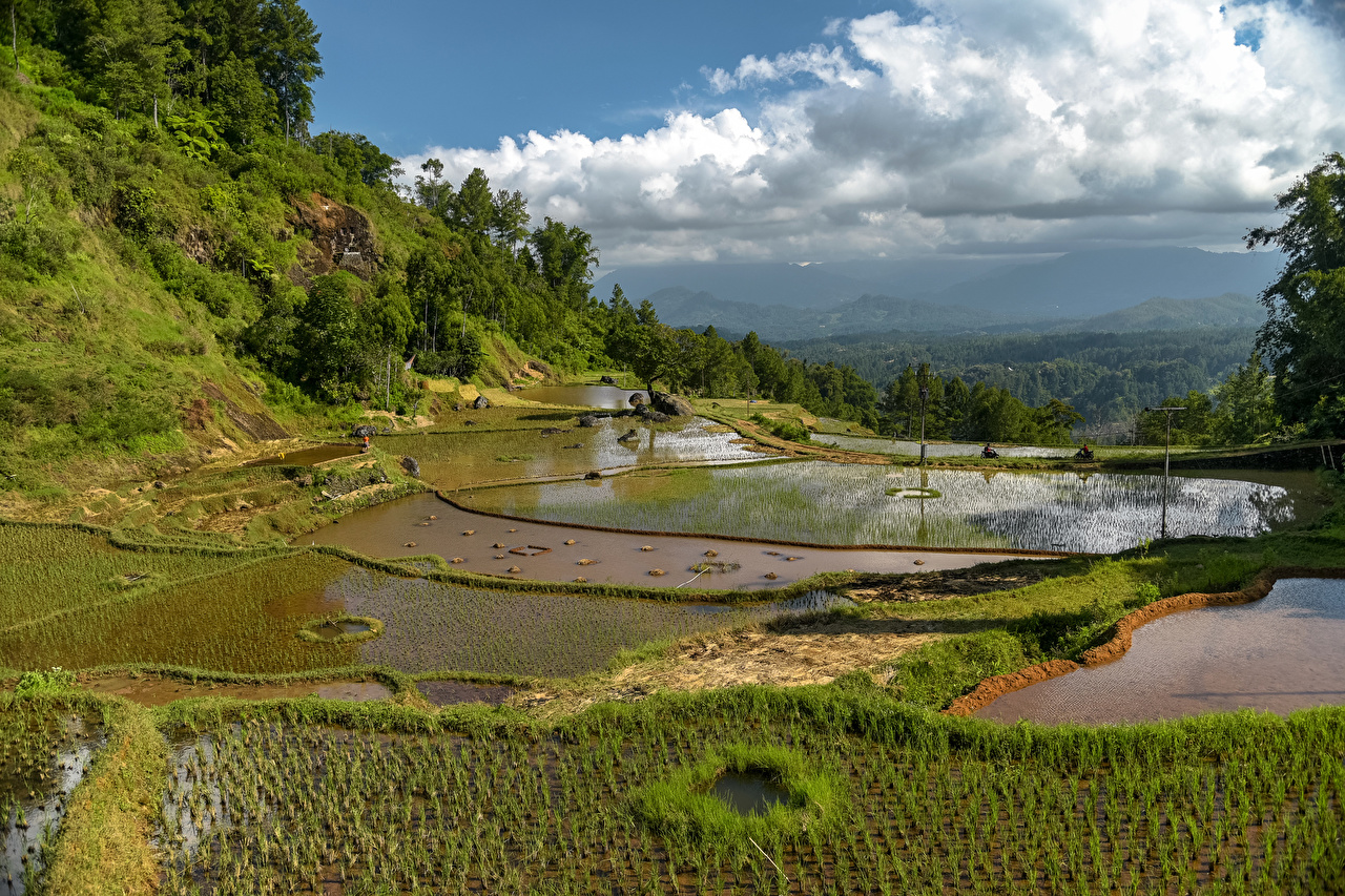 Desktop Wallpaper Indonesia Sulawesi Nature Fields Water