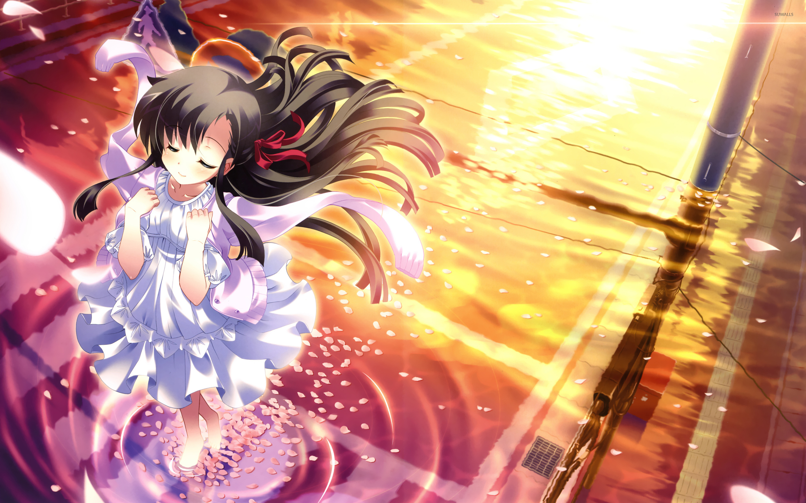 Sakura Saku Cantabile wallpaper wallpaper