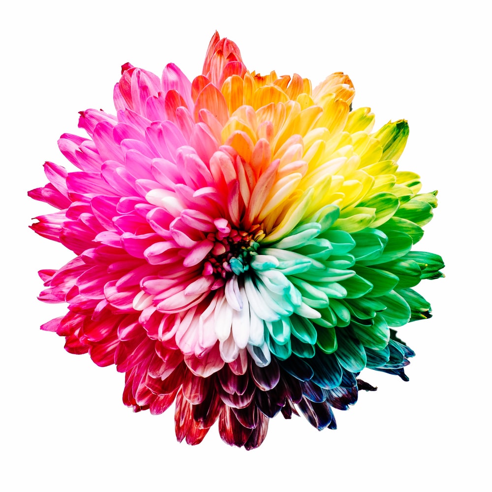 Color Explosion Picture. Download Free Image