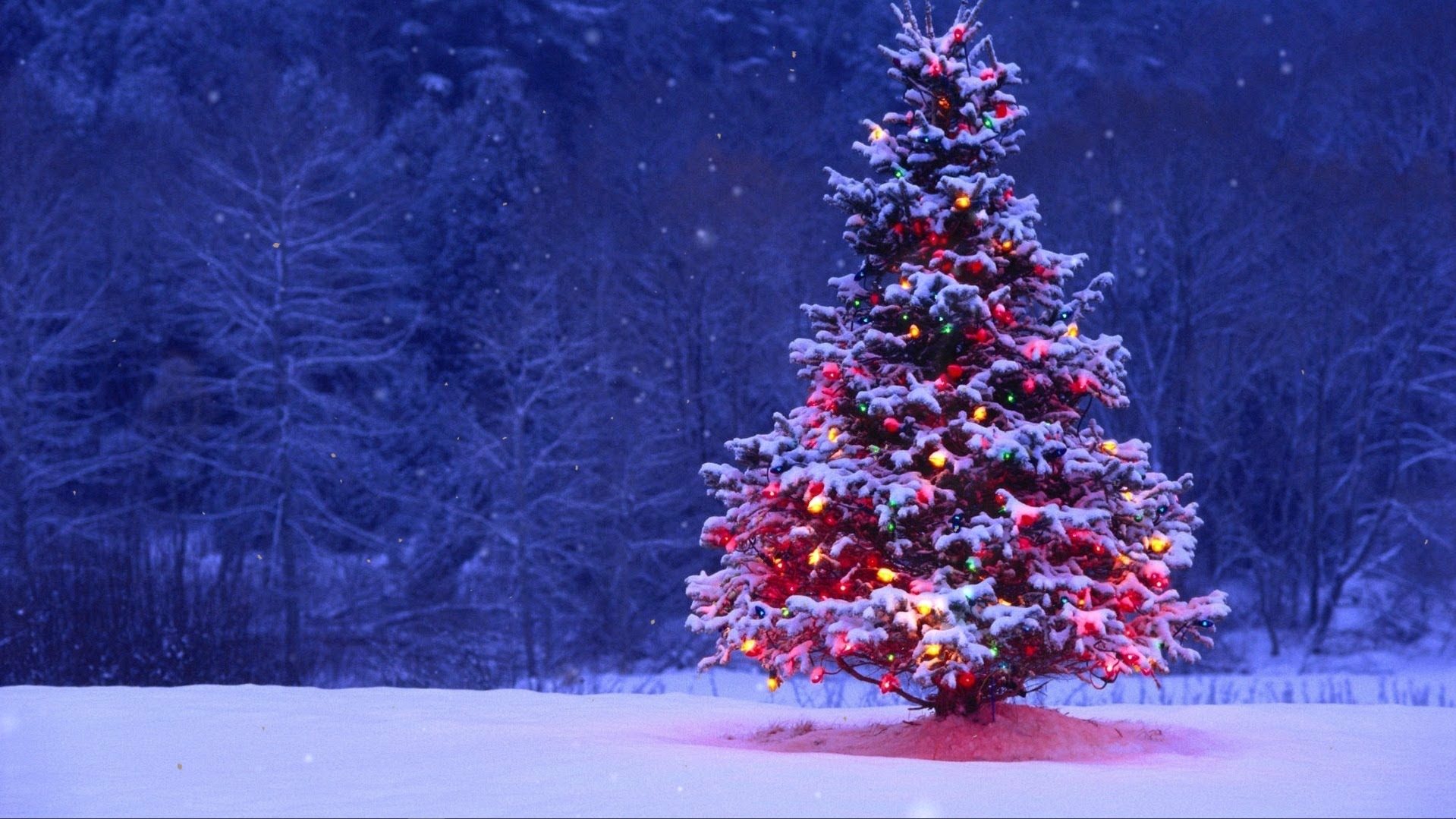 Christmas tree near the forest live wallpaper [DOWNLOAD FREE]