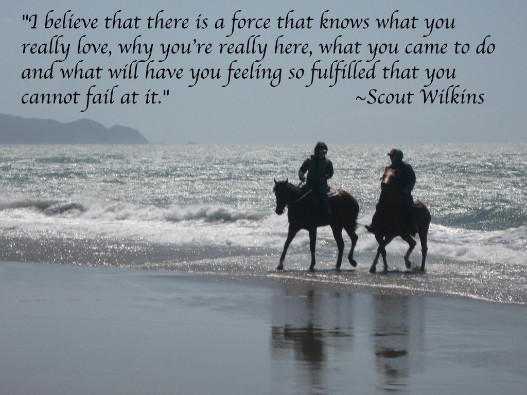 Best Horse Quotes. QuotesGram