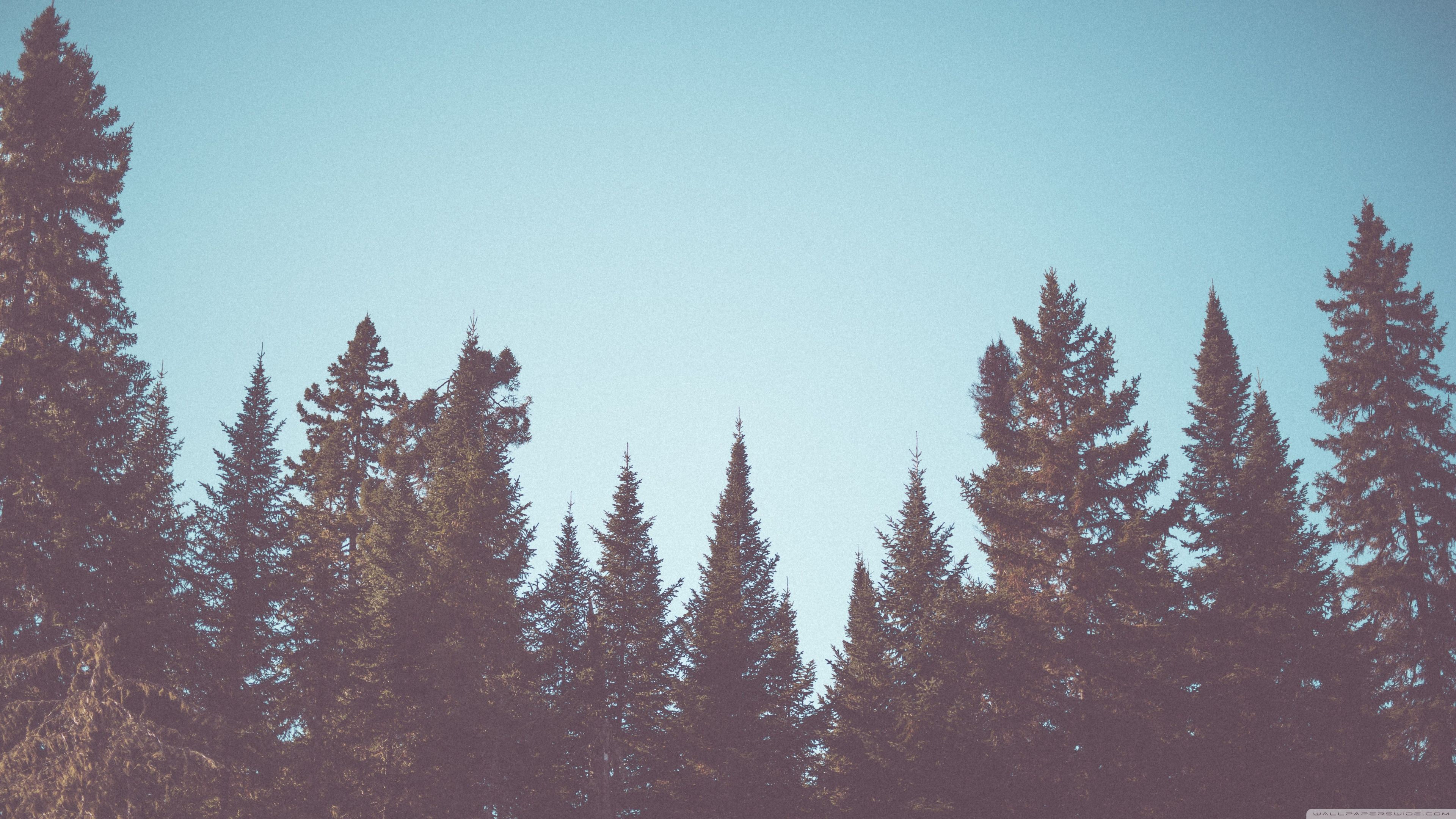 Vintage 4K Wallpaper