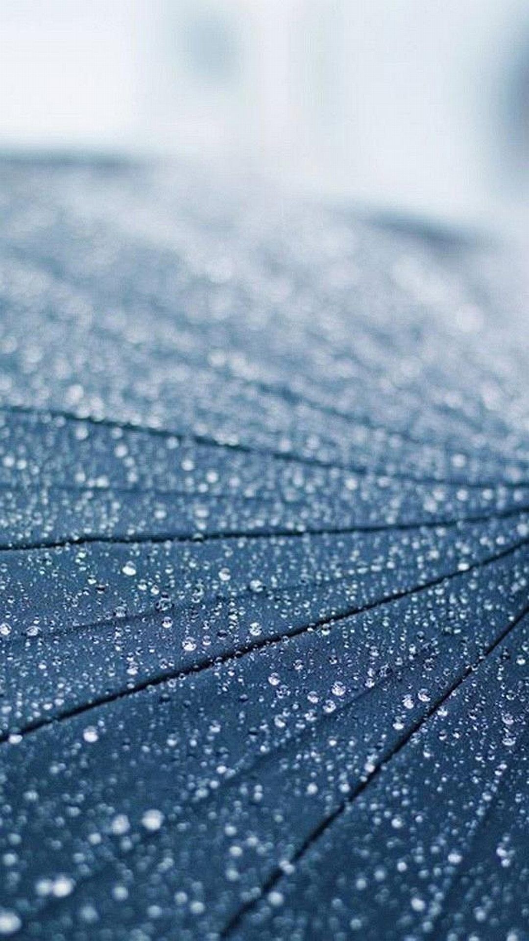 blue leather vertical wallpaper HD - ค้นหาด้วย Google. Android wallpaper black, Cool wallpaper, Android wallpaper