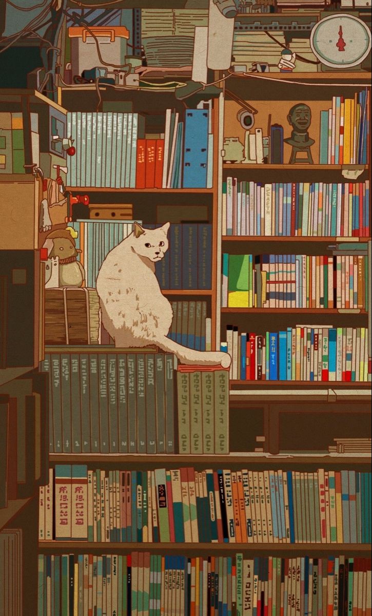 Oh my little cat in the bookshelf. Anime scenery wallpaper, Cartoon wallpaper, Art wallpaper