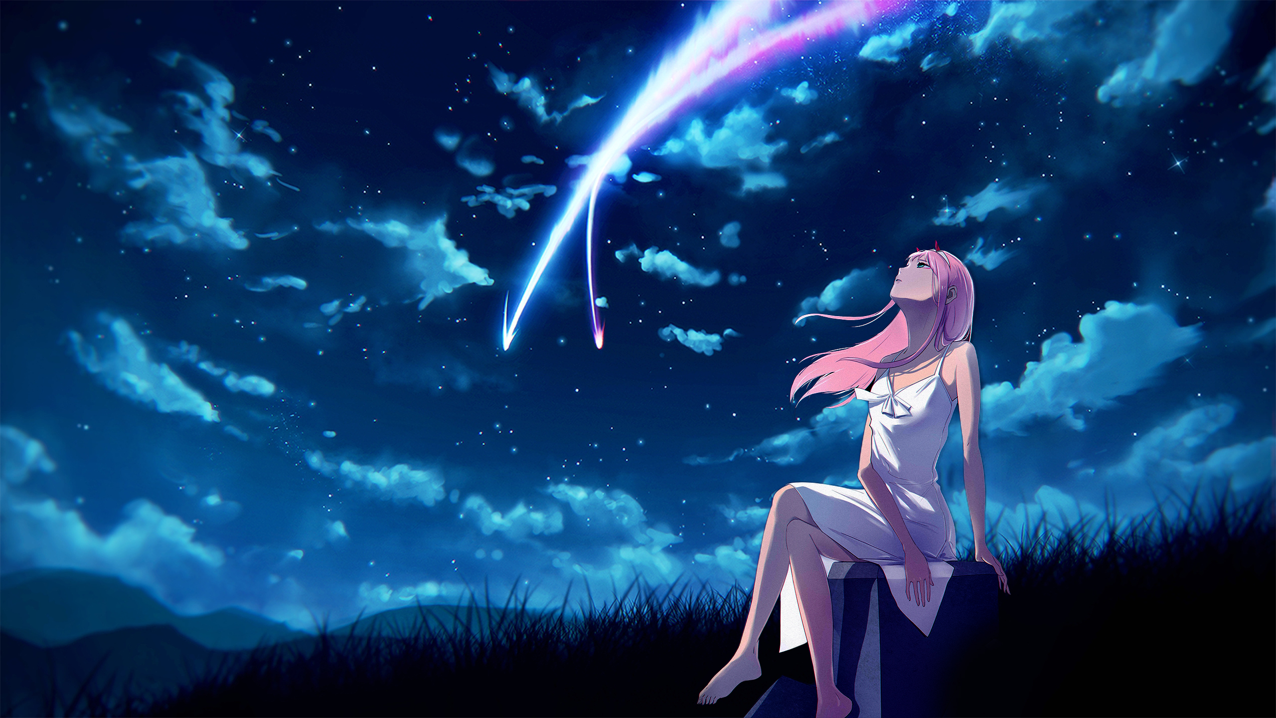 darling in the franxx zero two sitting near field seeing lighting on the sky with background of dark sky clouds and stars during night time HD anime Wallpaper. HD Wallpaper