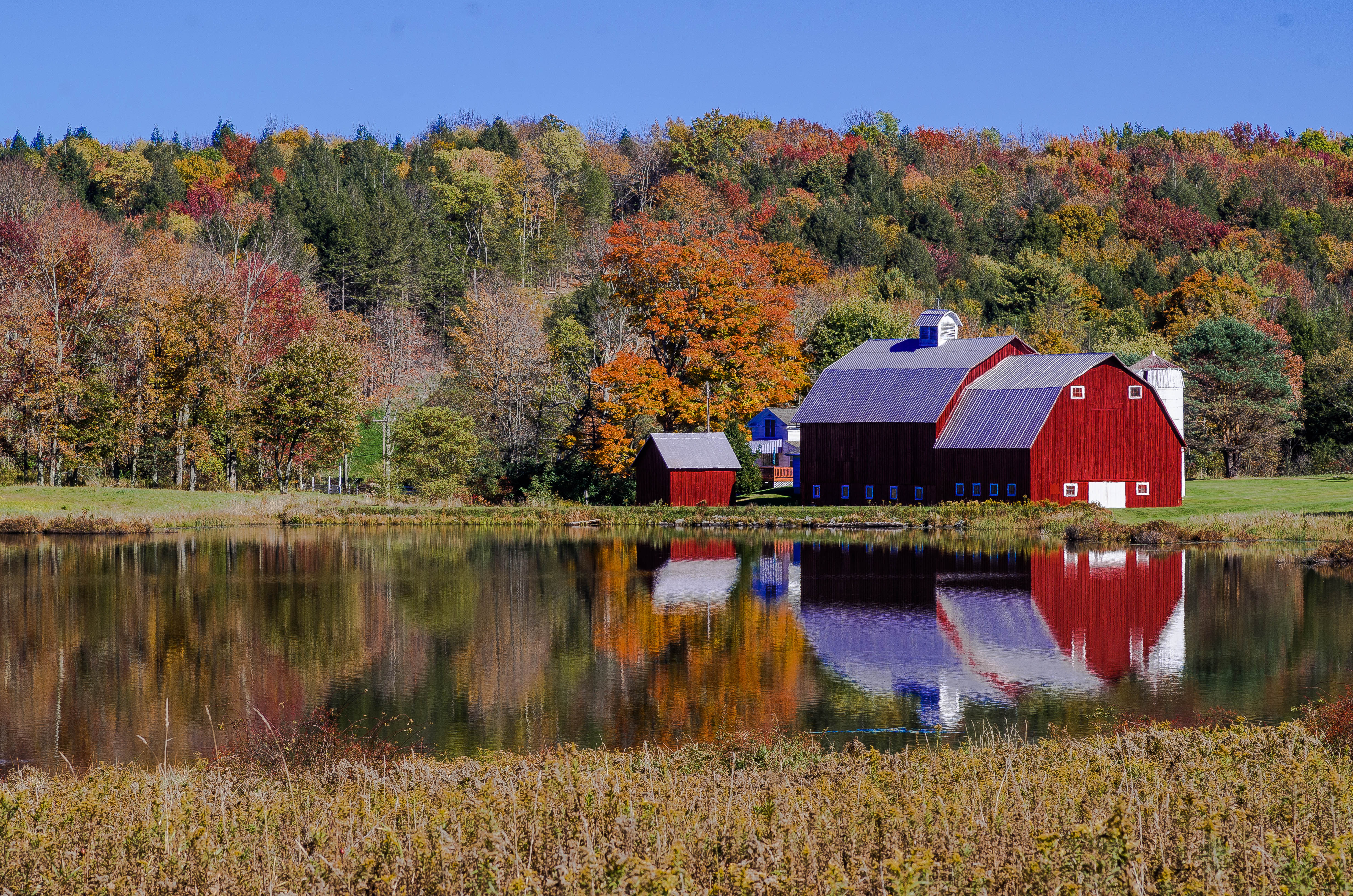 Wallpaper, autumn, lake, reflection, fall, barn, landscape, pond, cornfield, Pennsylvania, farm, fallfoliage, foliage, poconos 4928x3264