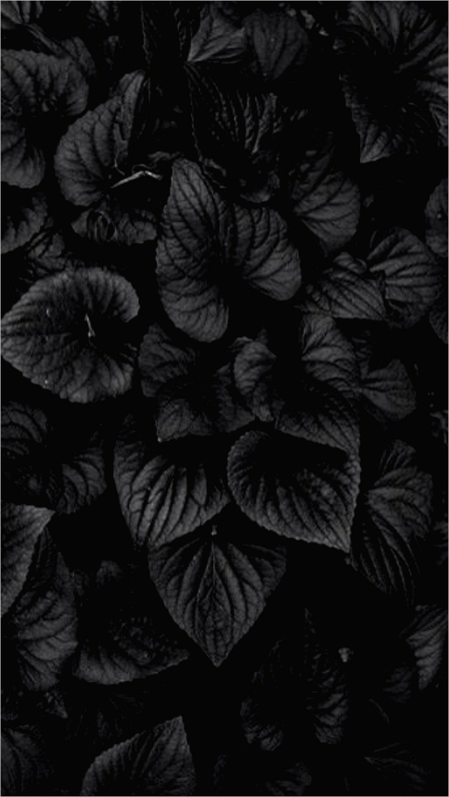 Dark Android Wallpaper 4k. Black flowers wallpaper, Cool wallpaper black and white, Dark flowers