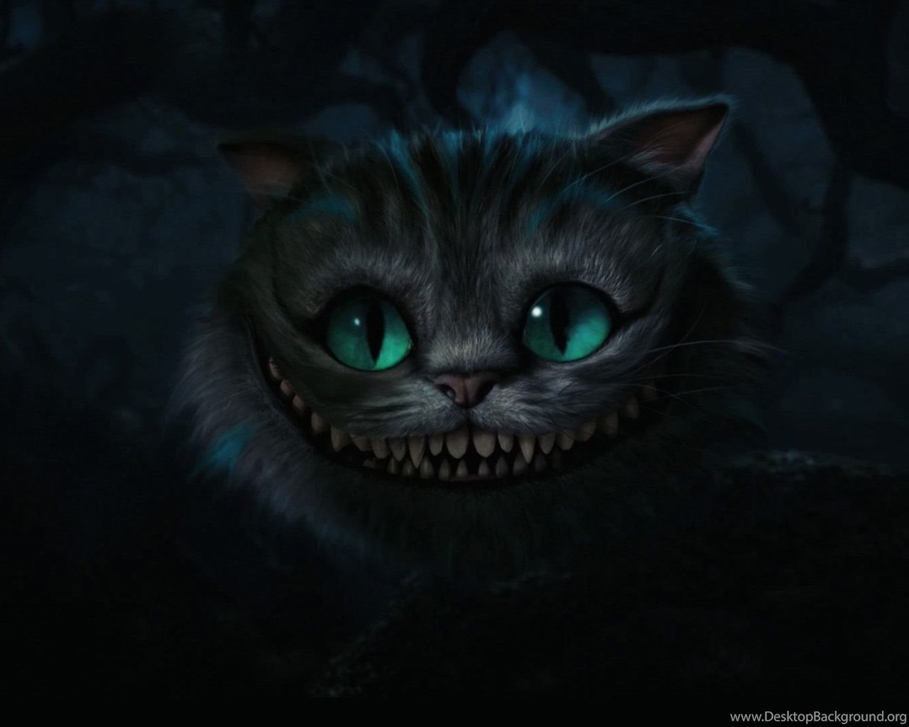 Creepy Cats Wallpapers - Wallpaper Cave