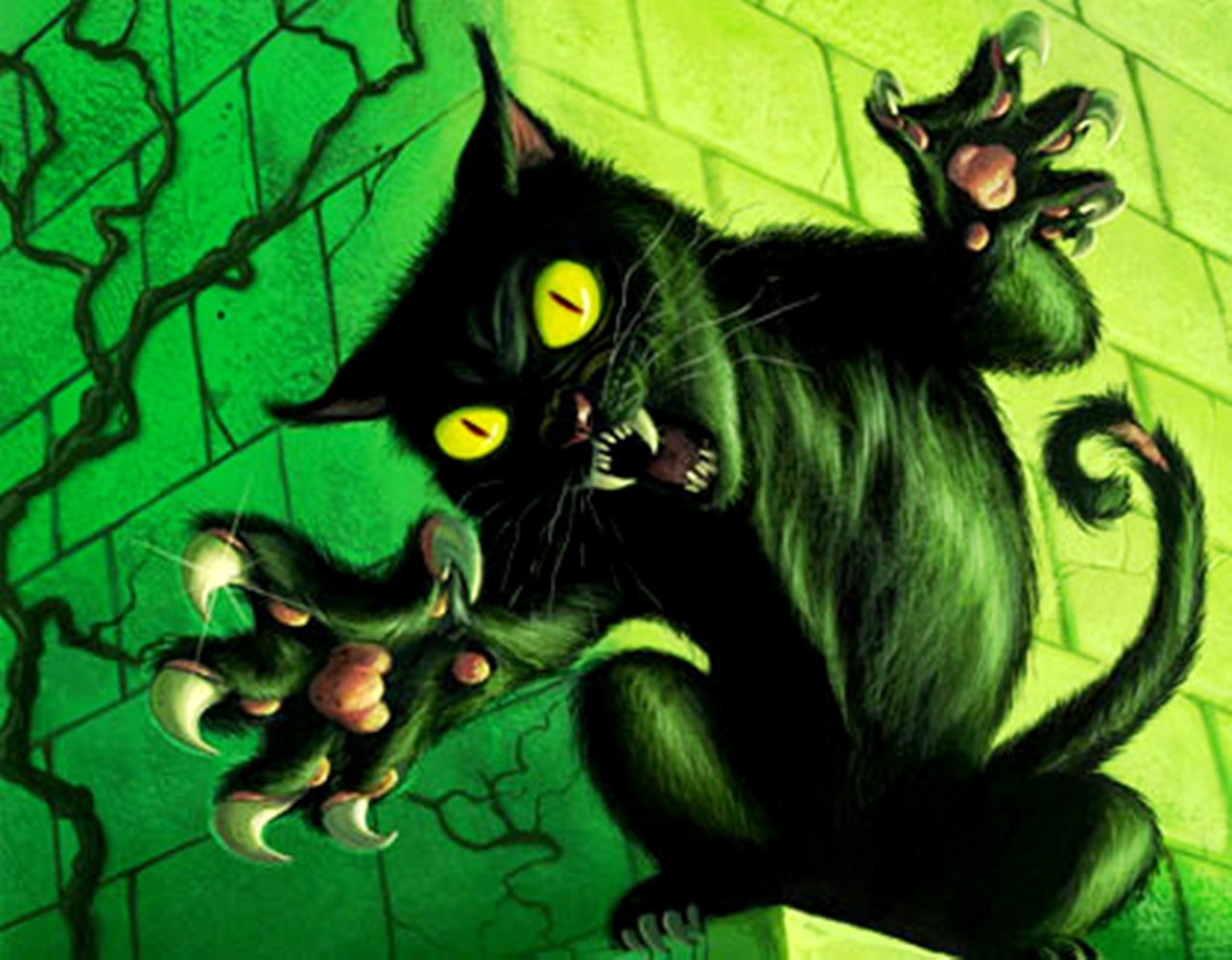 Cursed cat Wallpaper and Background Imagex998
