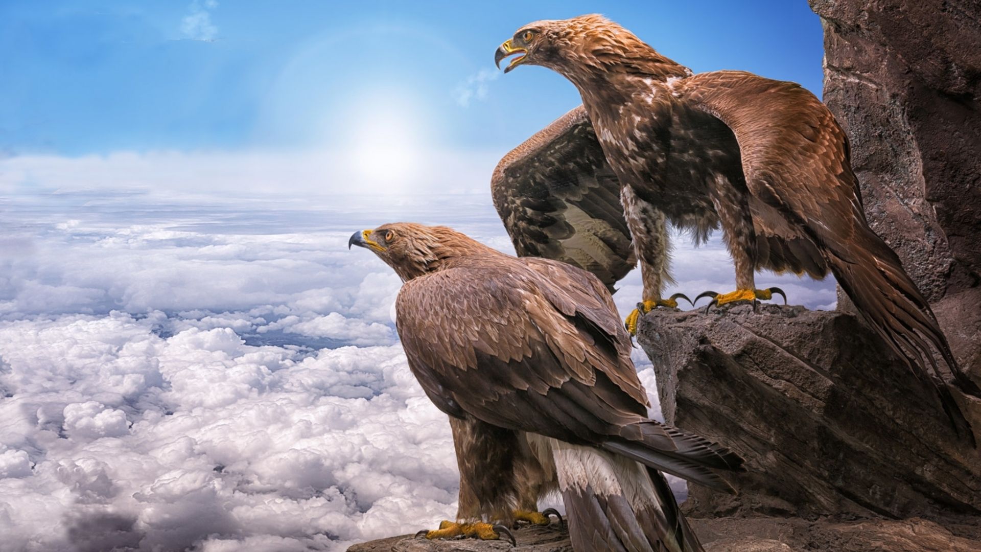 Desktop wallpaper golden eagles, birds, clouds, HD image, picture, background, 3e236f