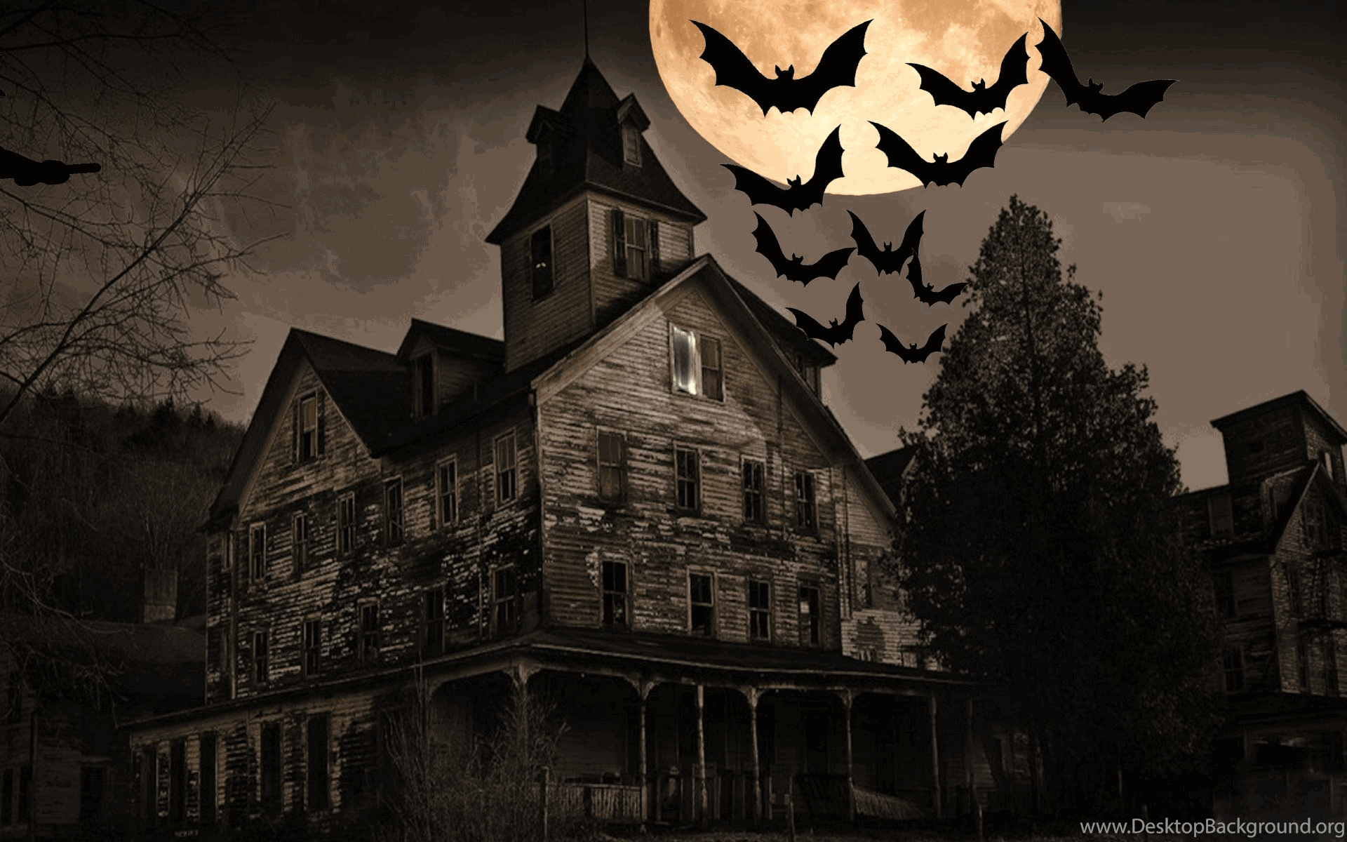 Scary Halloween Background Gifs Desktop Background