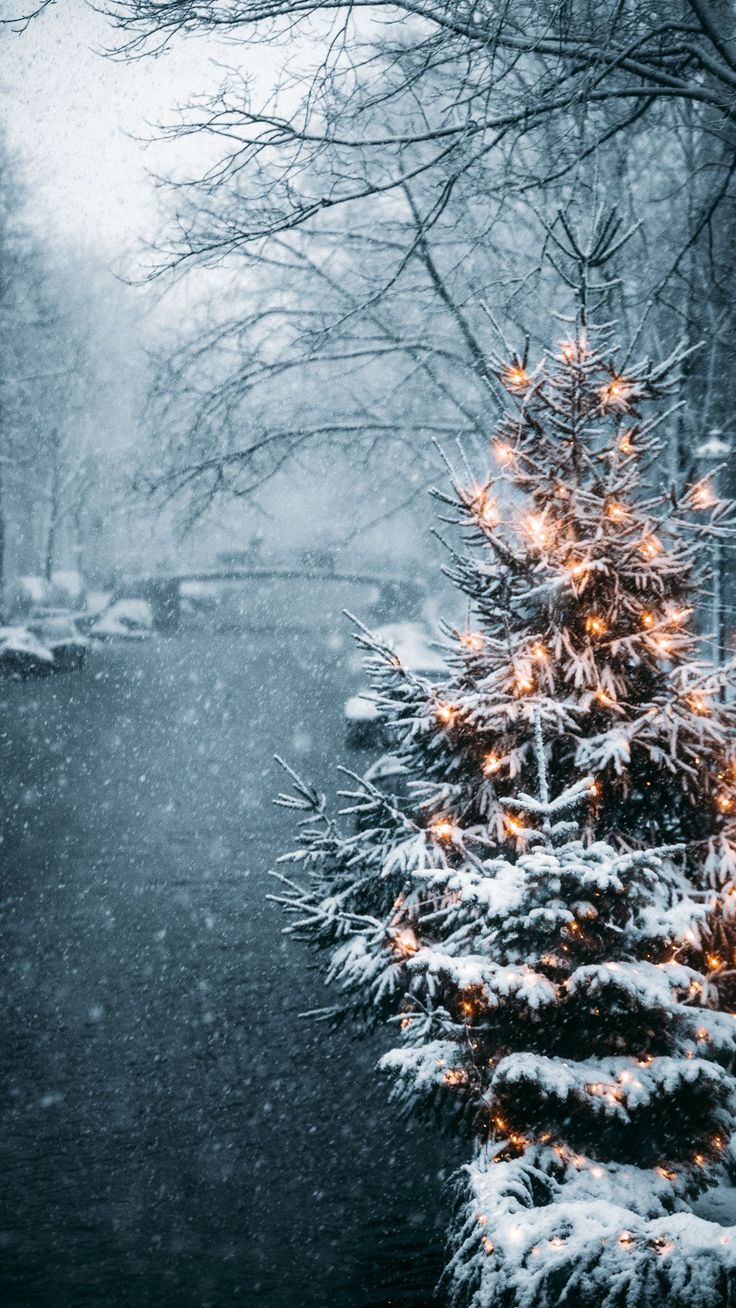 Beautiful Winter Aesthetic Wallpaper You'll Love!. Sustainable christmas, Winter presets, Wallpaper iphone christmas