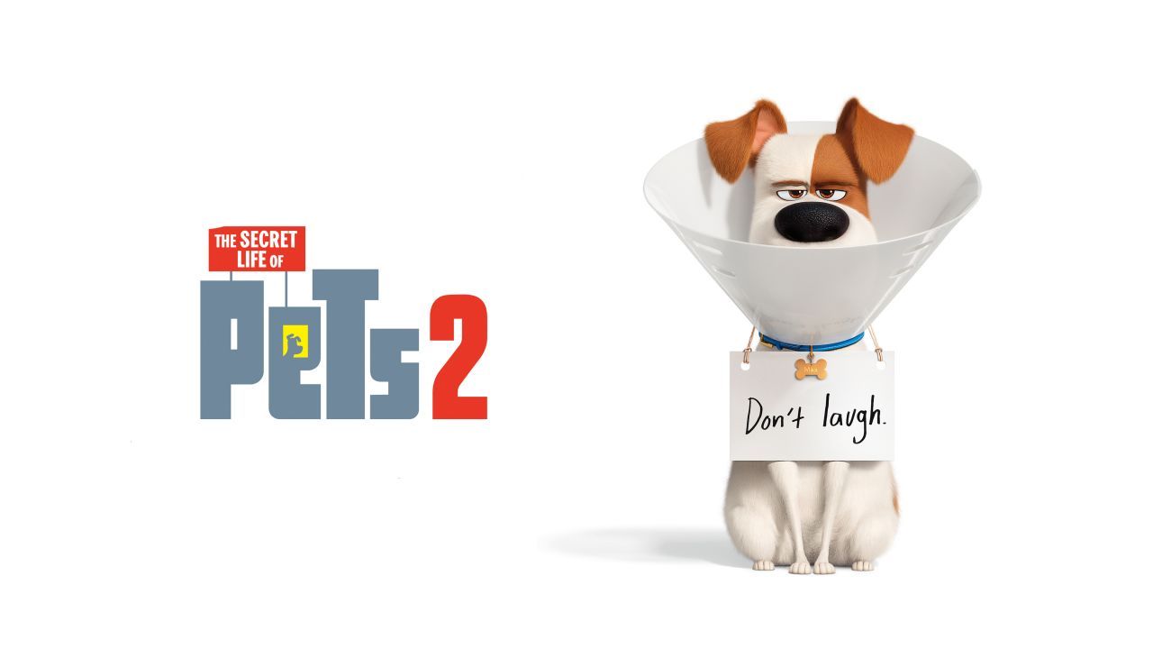 The Secret Life Of Pets 2 Wallpaper Free The Secret Life Of Pets 2 Background