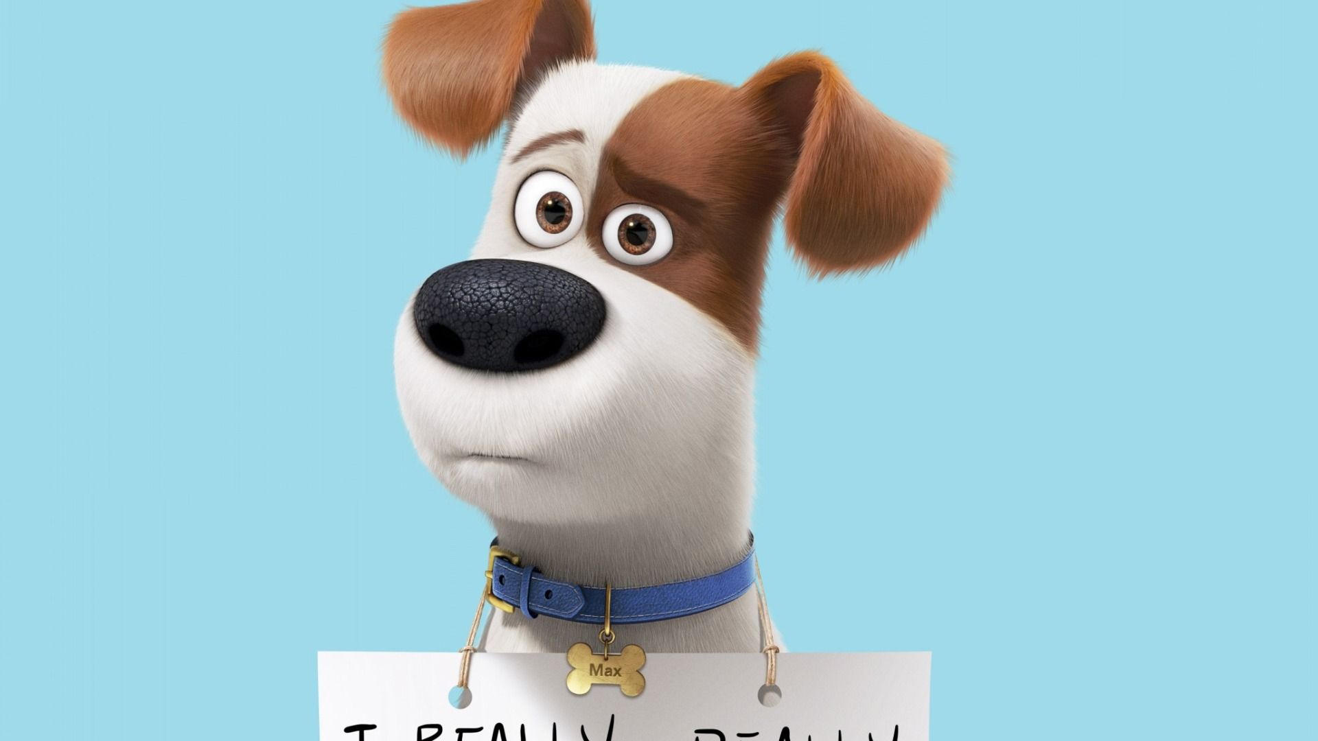 Secret Life Of Pets Wallpaper